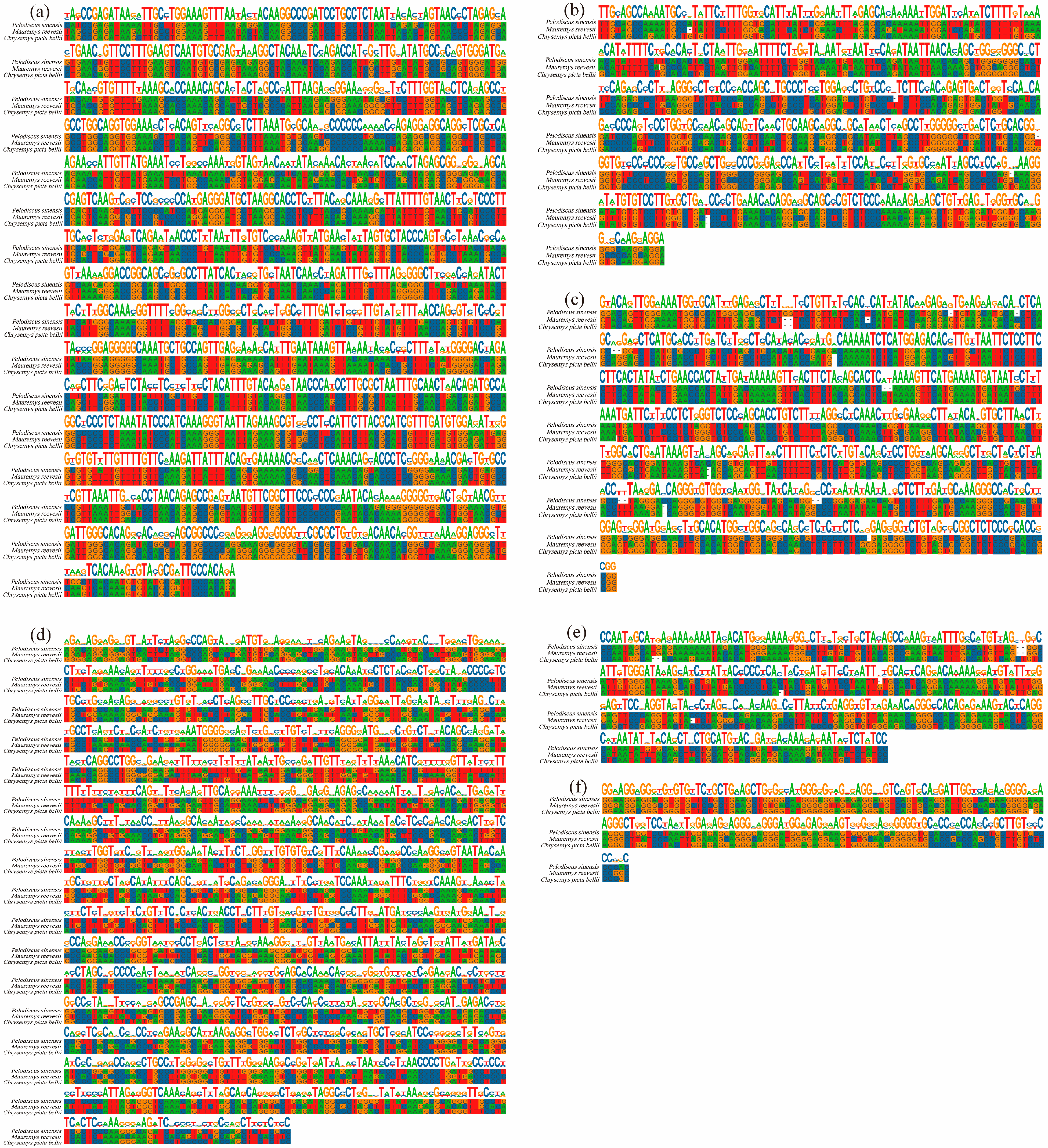 Animals 14 00931 g007 Animals 14 00931 g007