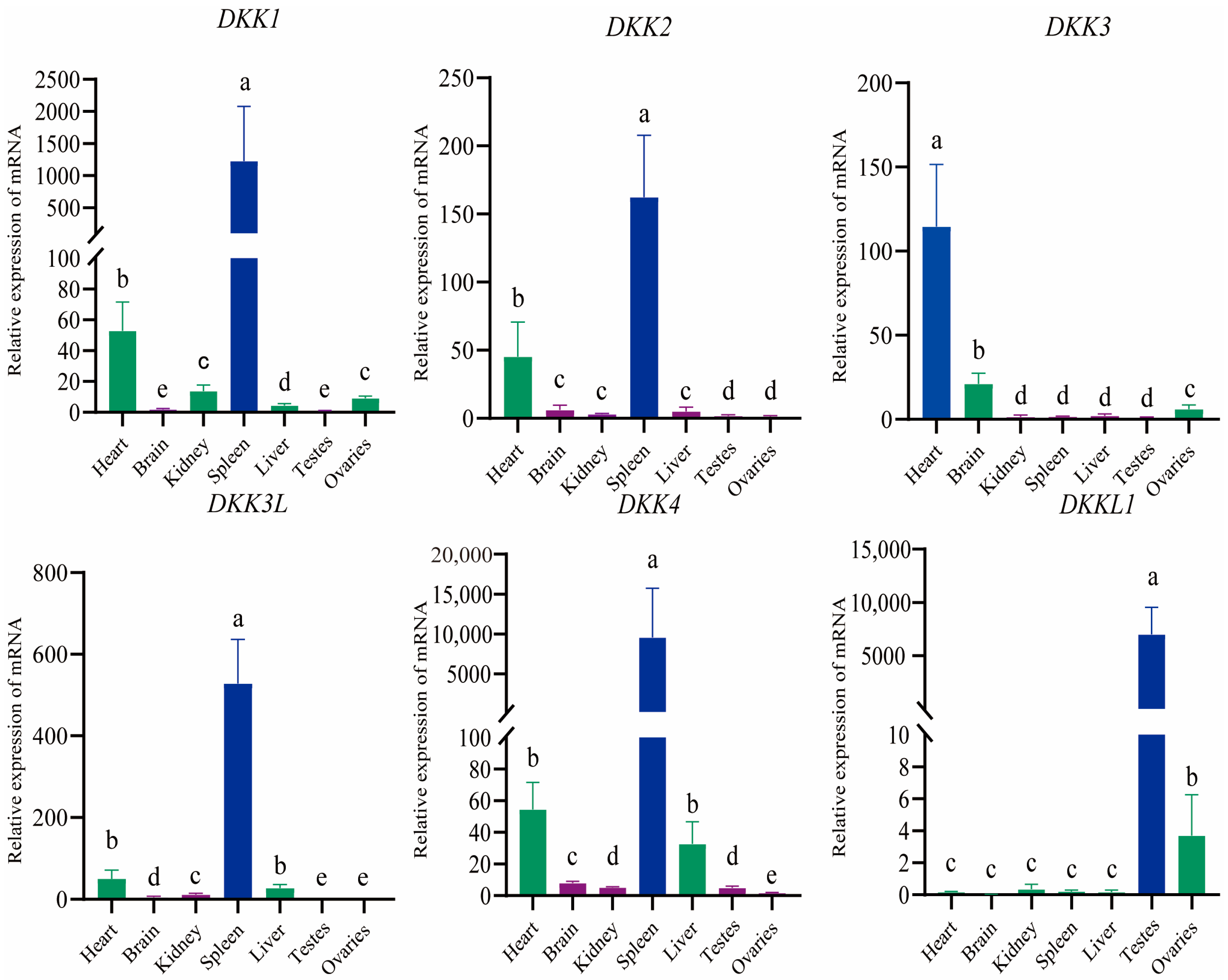 Animals 14 00931 g009 Animals 14 00931 g009