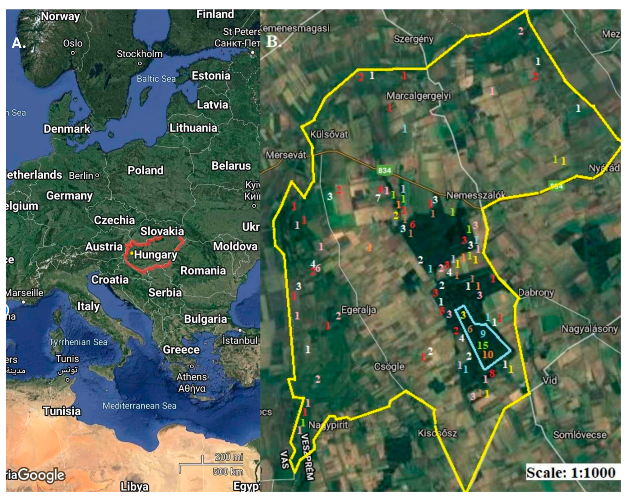 Animals 14 00932 g001