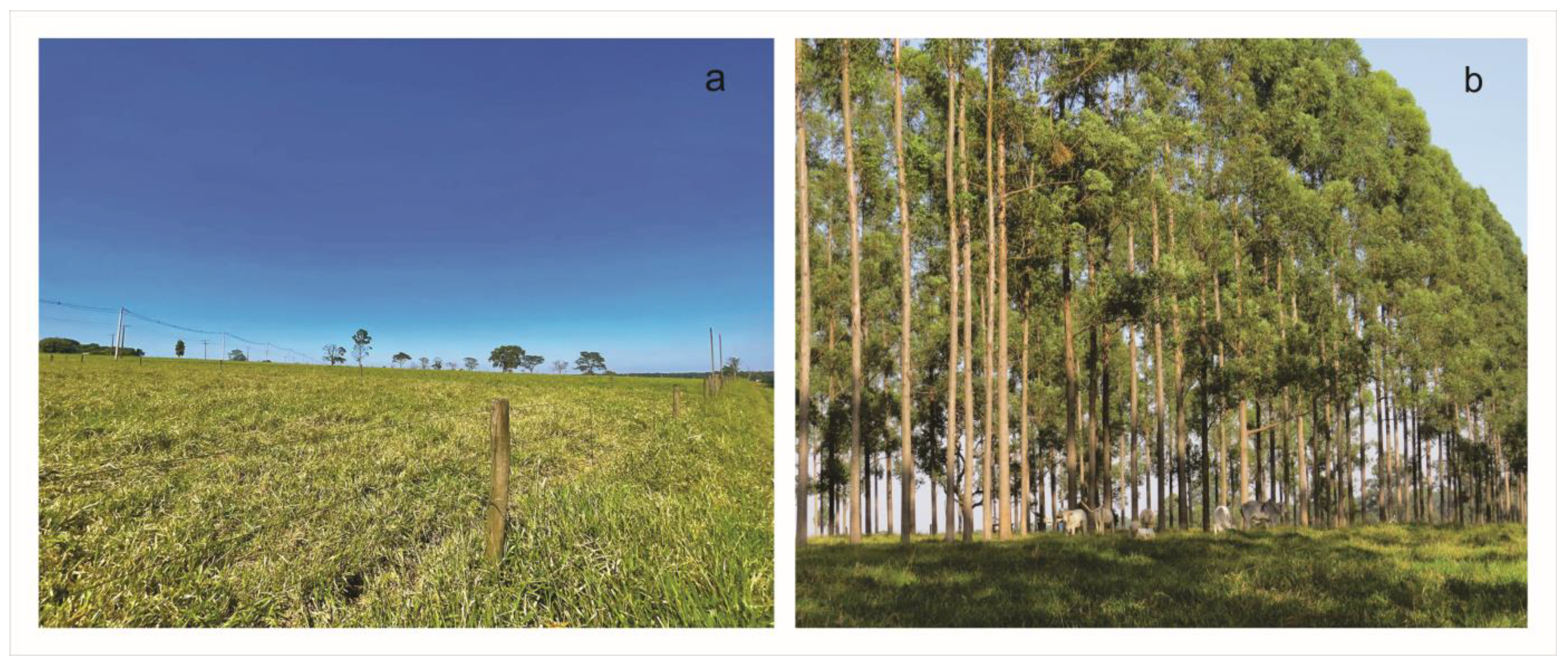 Animals 14 00944 g001