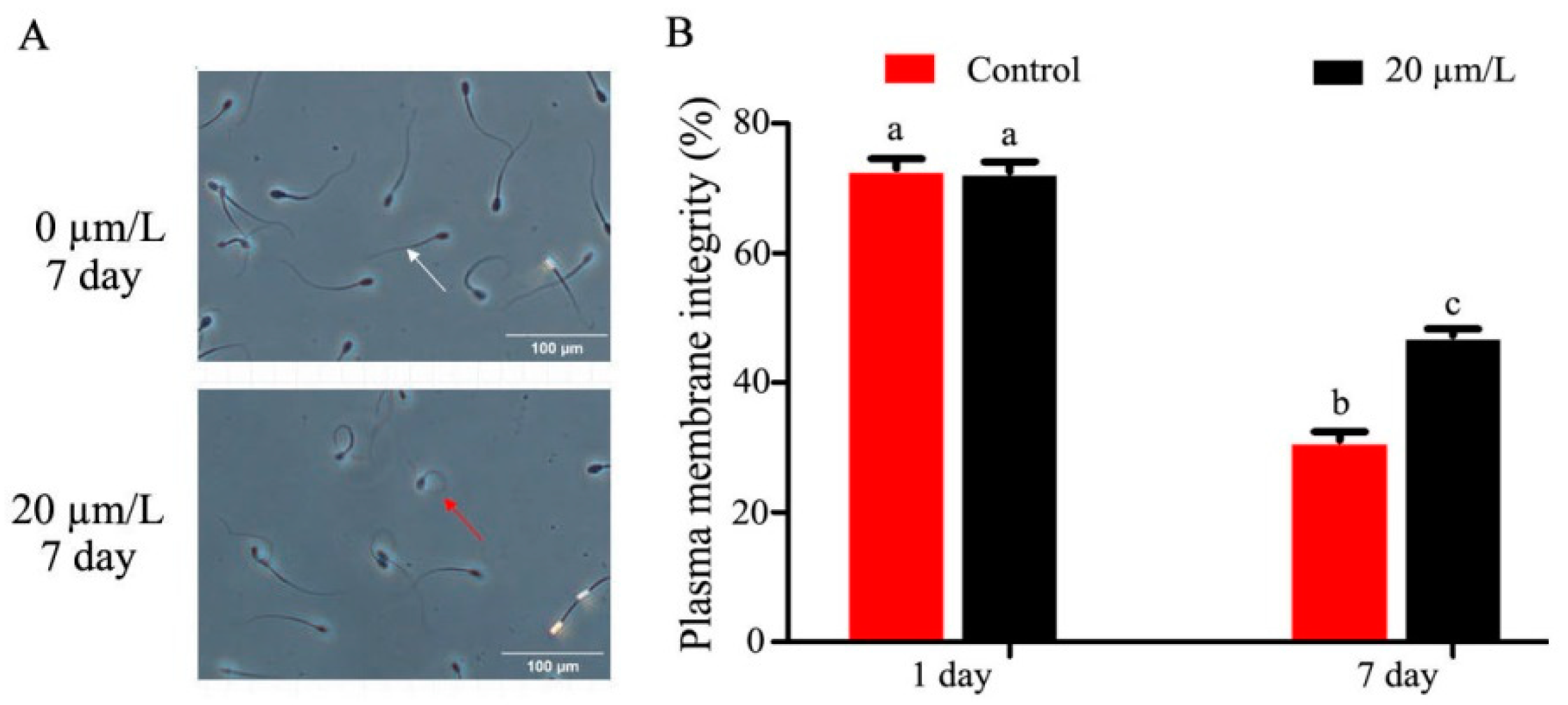 Animals 14 00947 g002a