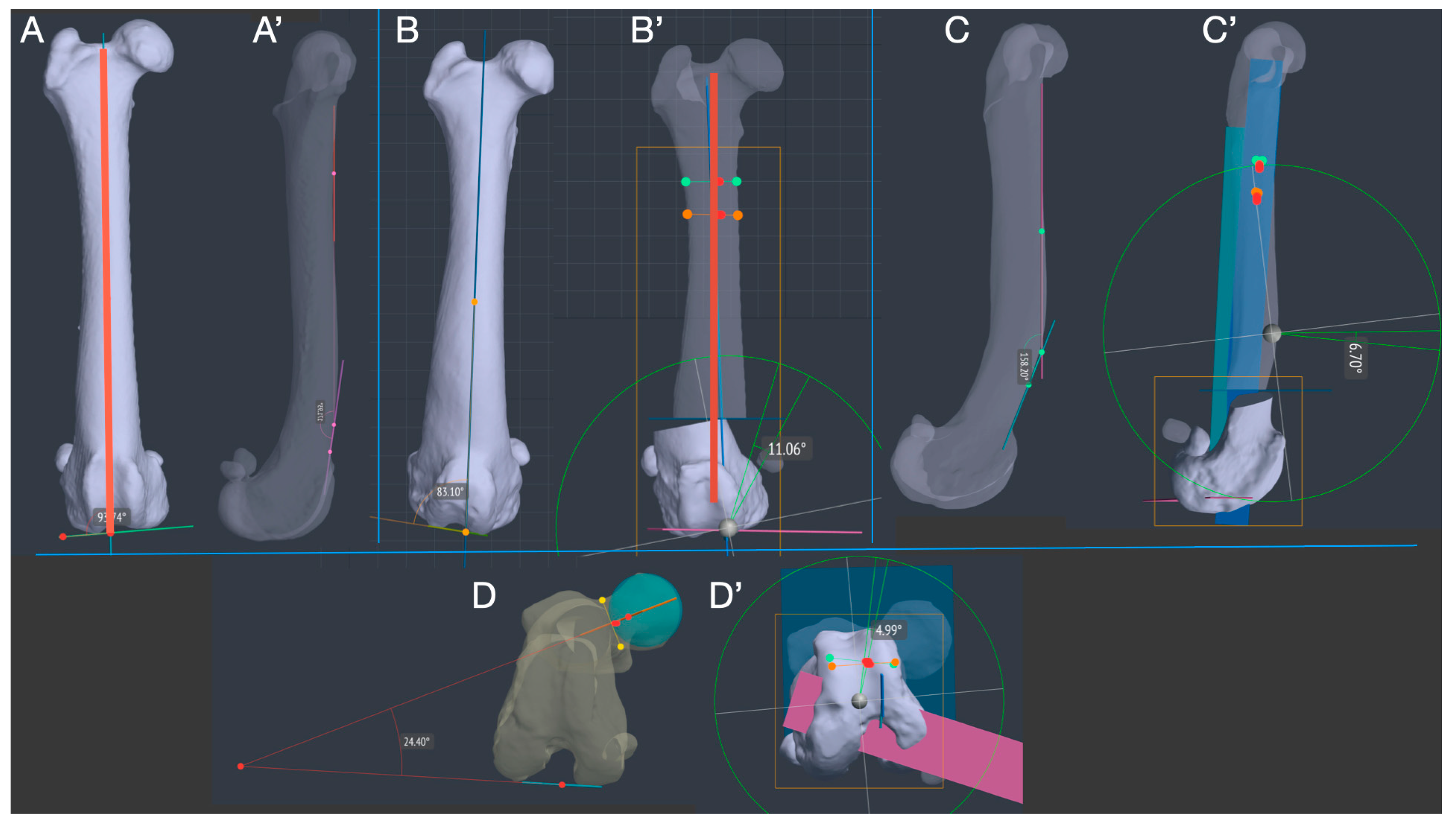 Animals 14 00951 g001