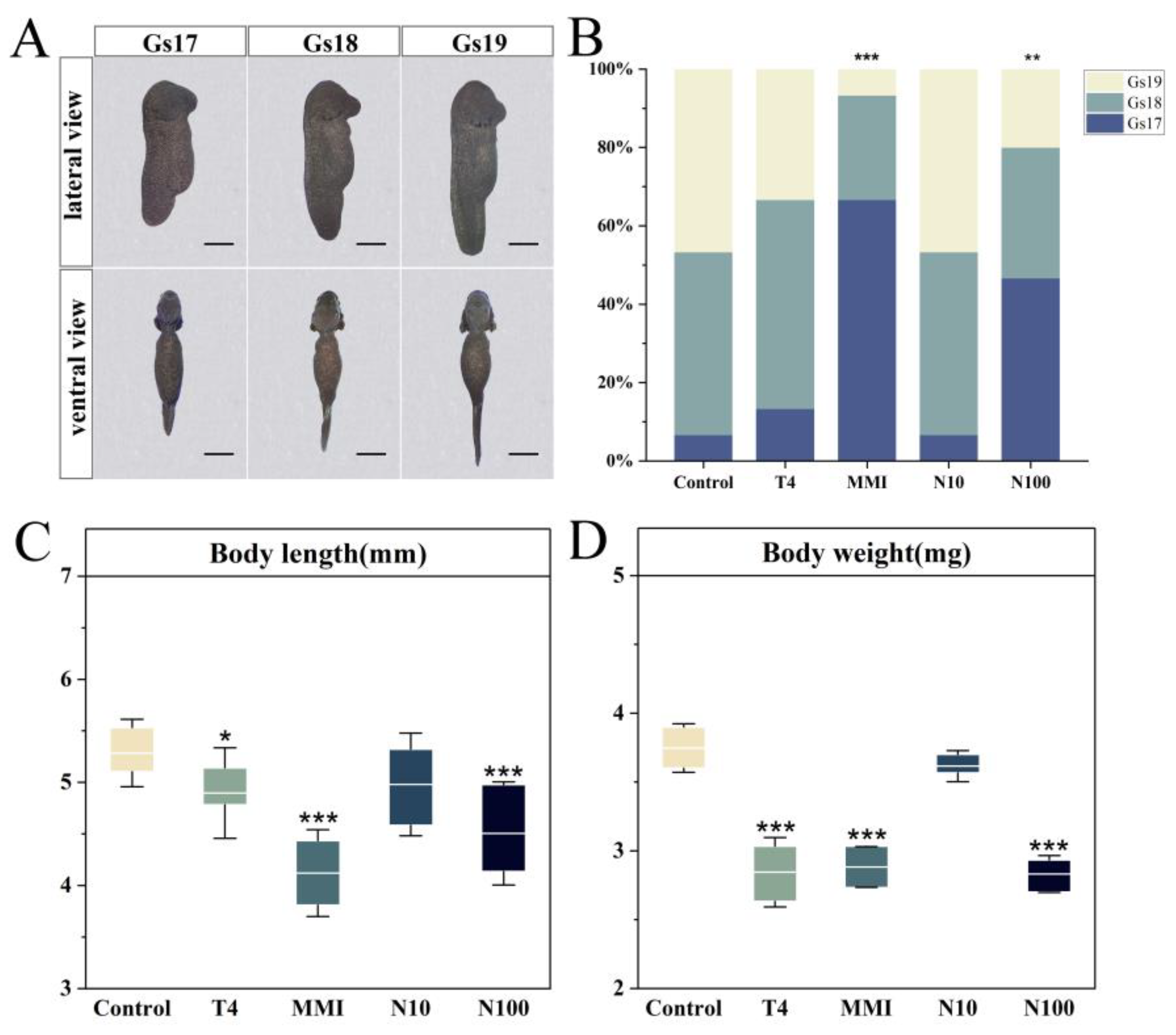 Animals 14 00961 g001