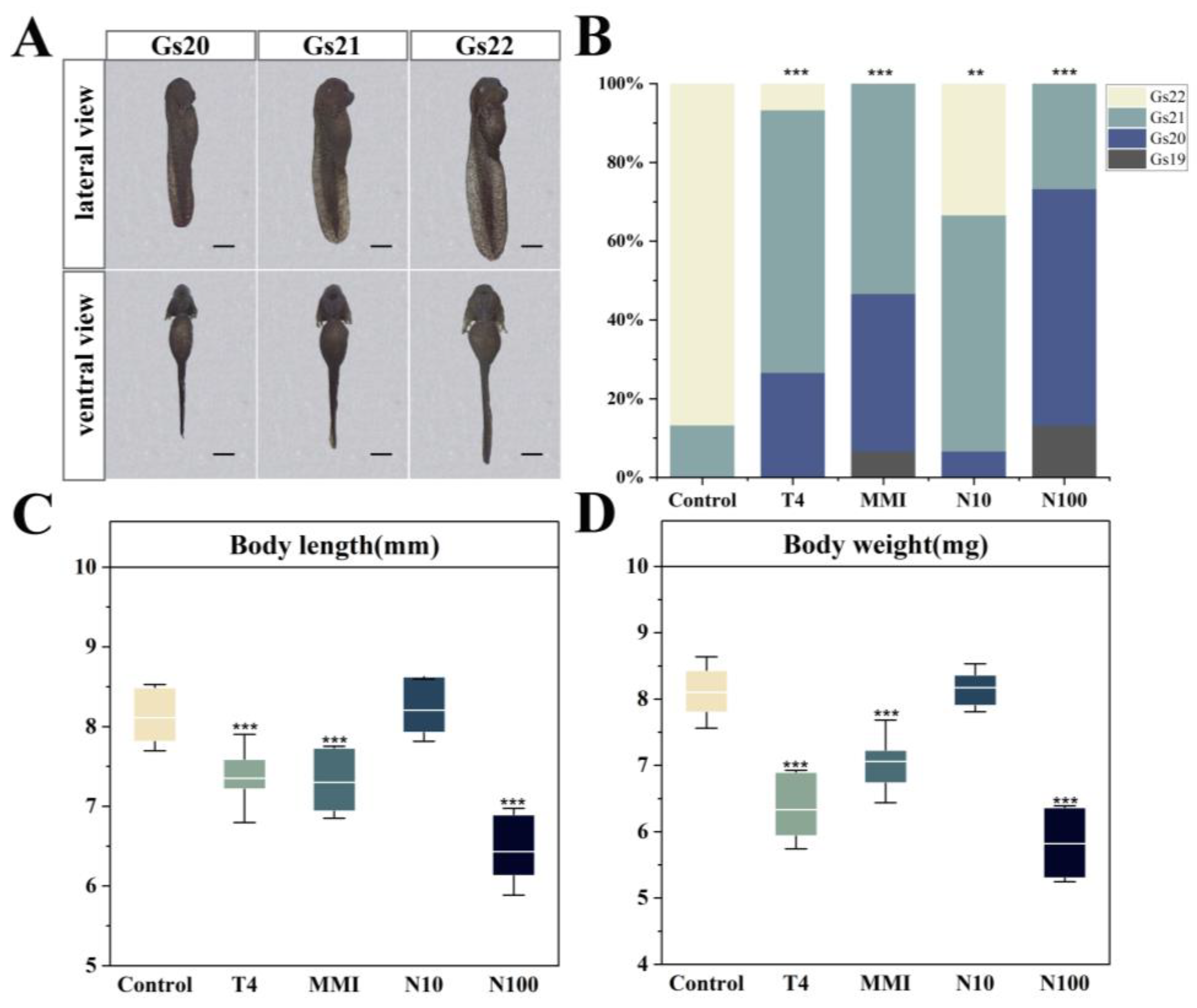 Animals 14 00961 g002