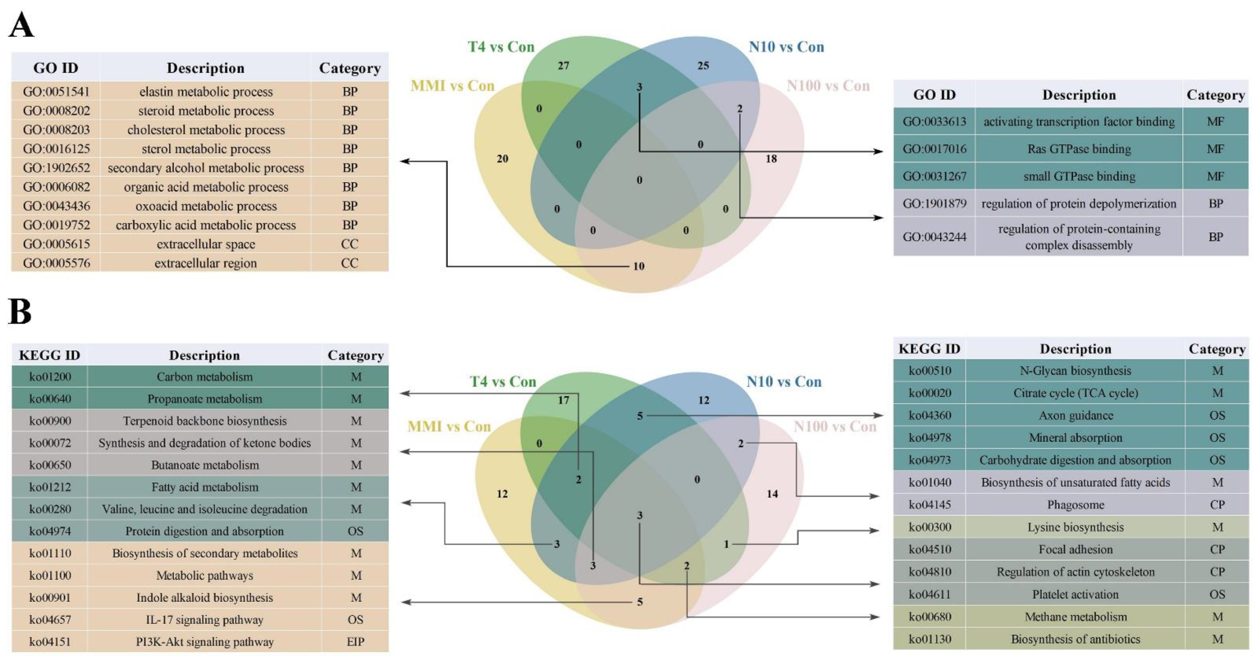 Animals 14 00961 g006
