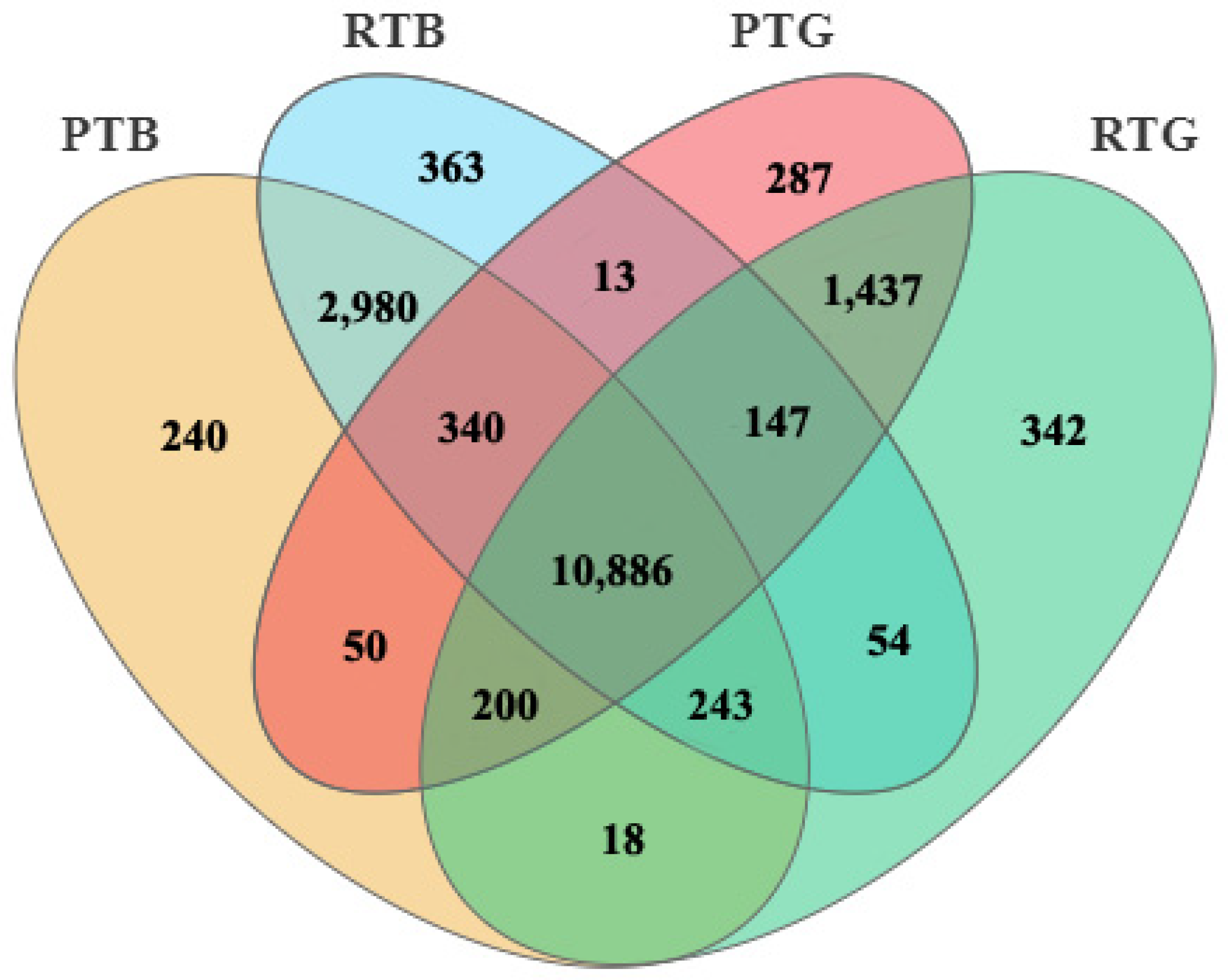 Animals 14 00962 g002