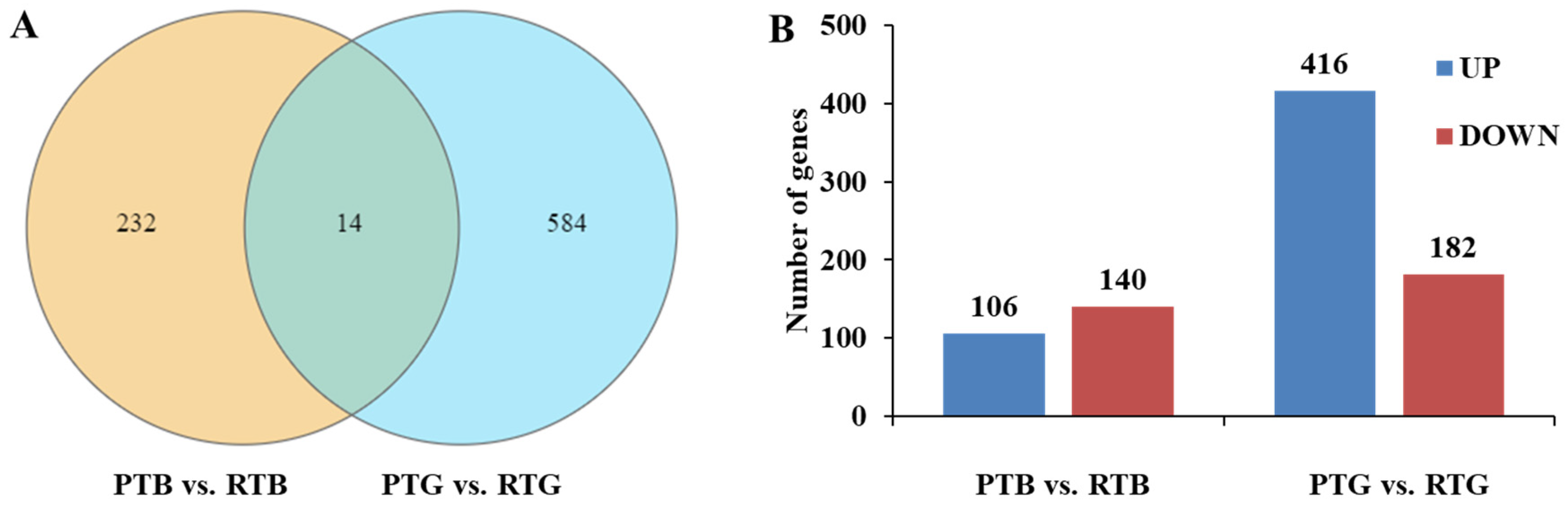 Animals 14 00962 g003