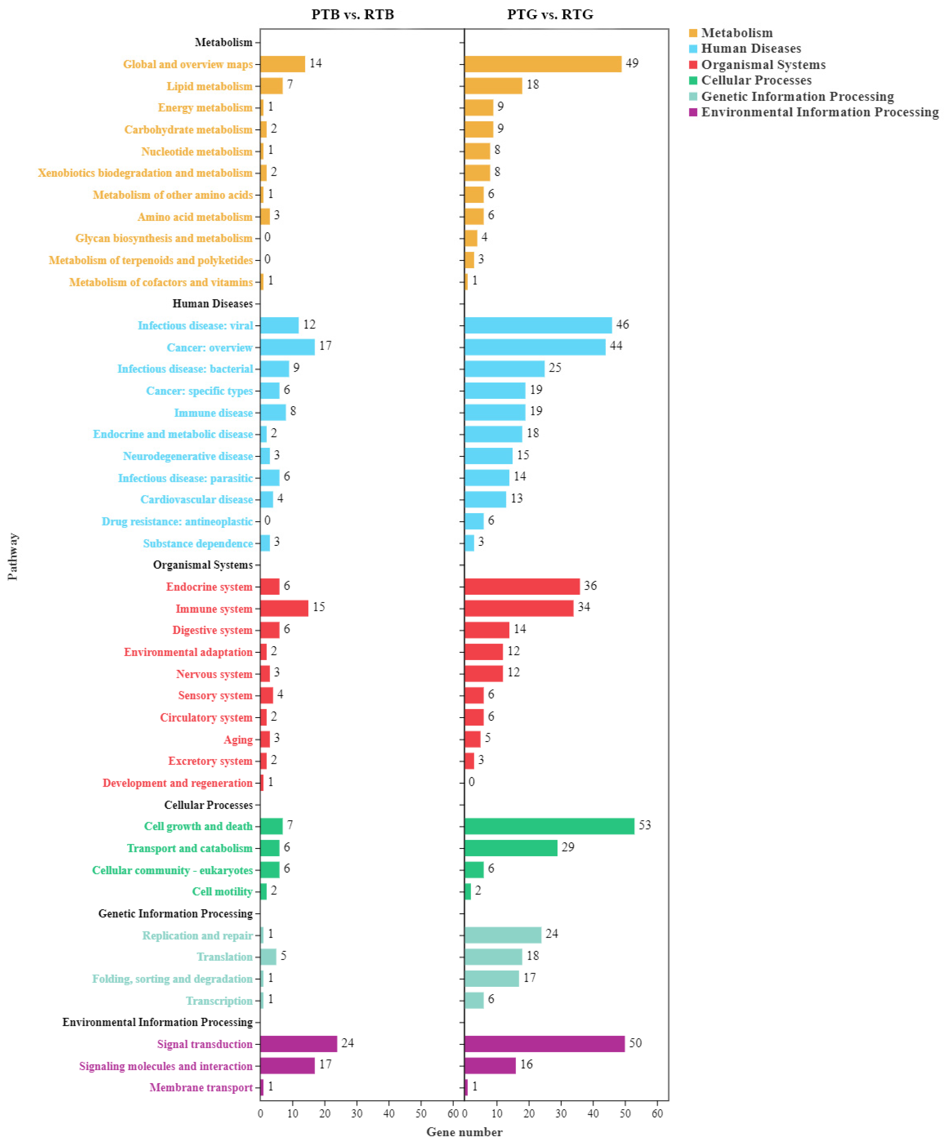 Animals 14 00962 g004