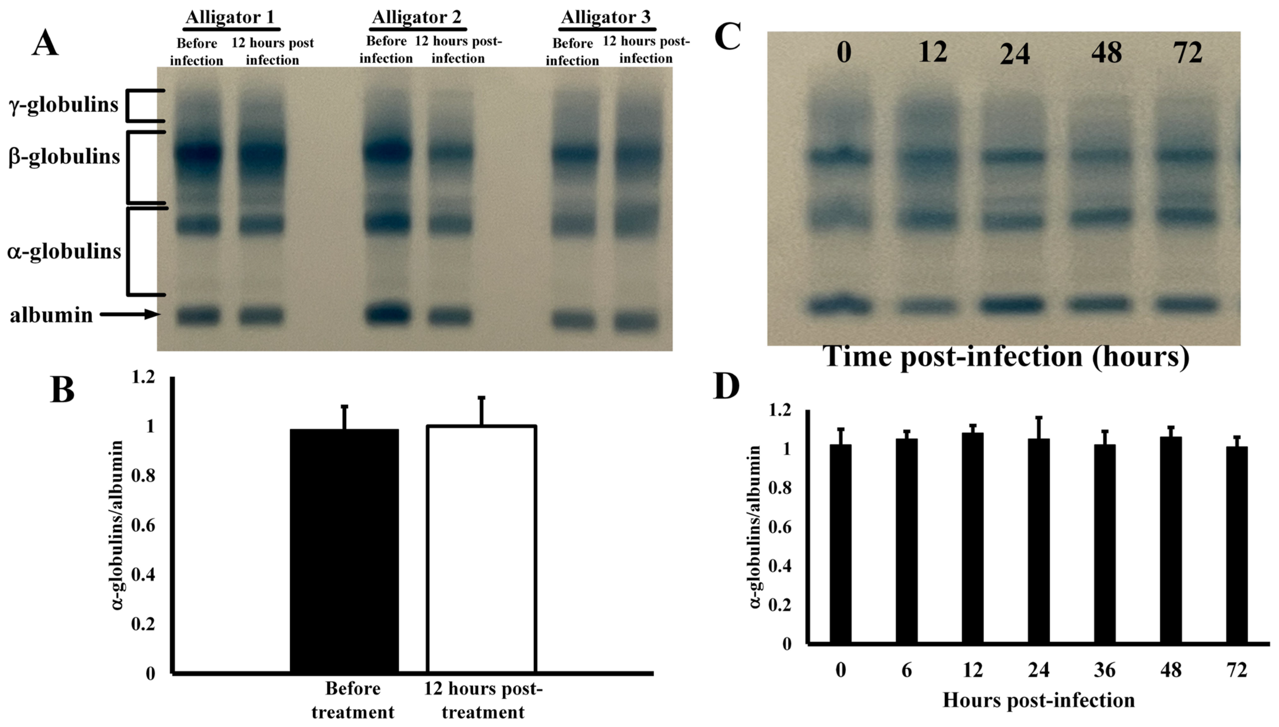 Animals 14 00965 g001