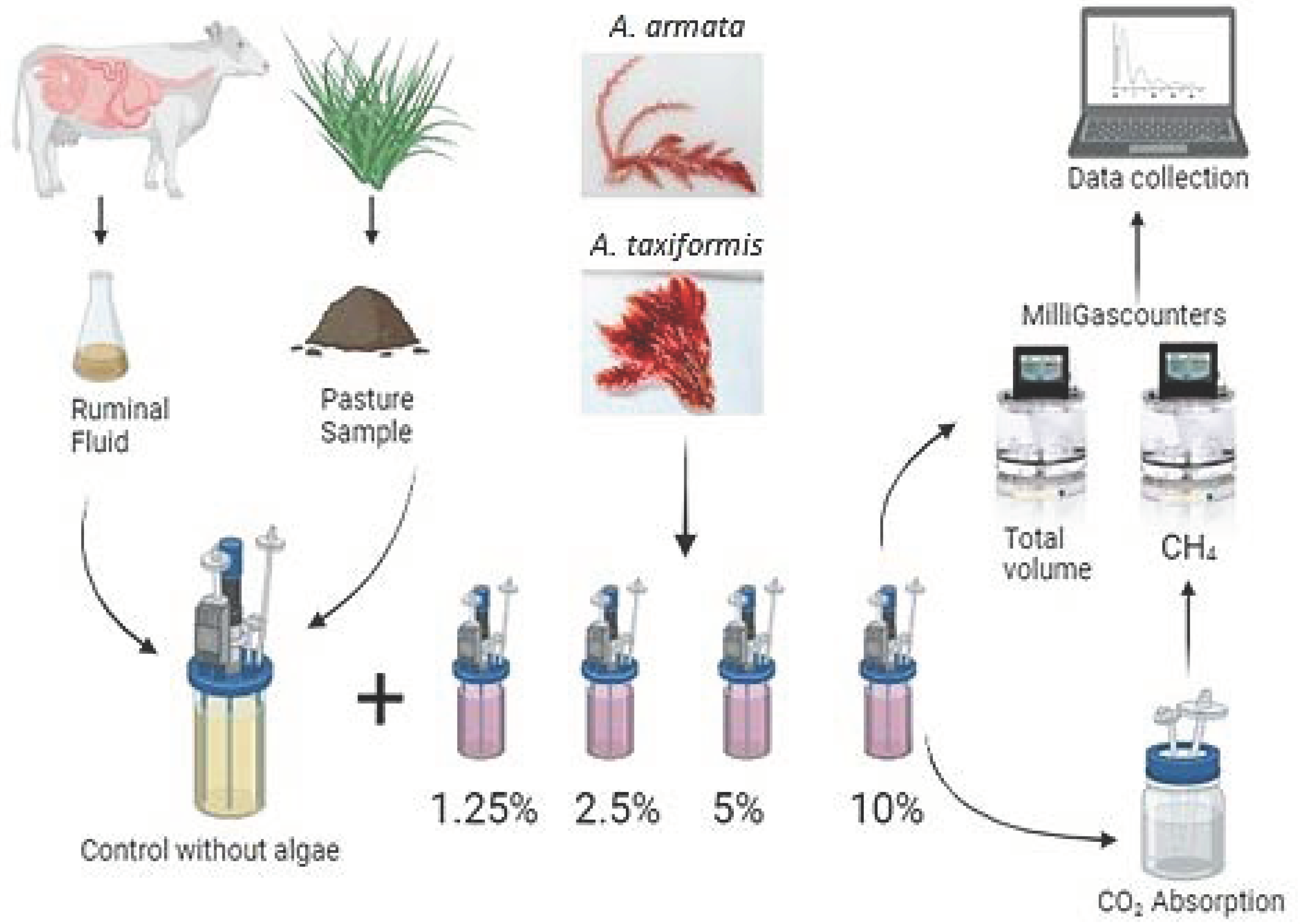 Animals 14 00967 g001