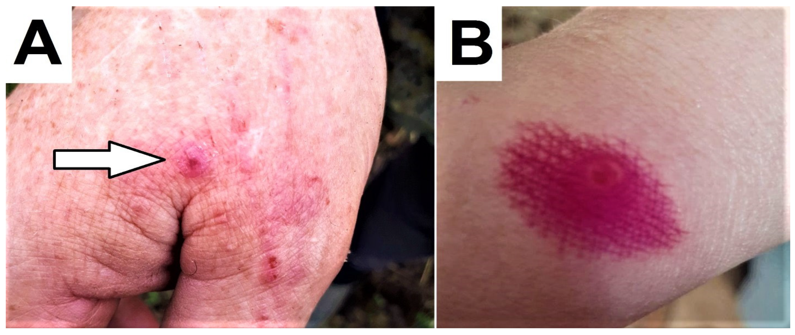 Animals 14 00969 g003