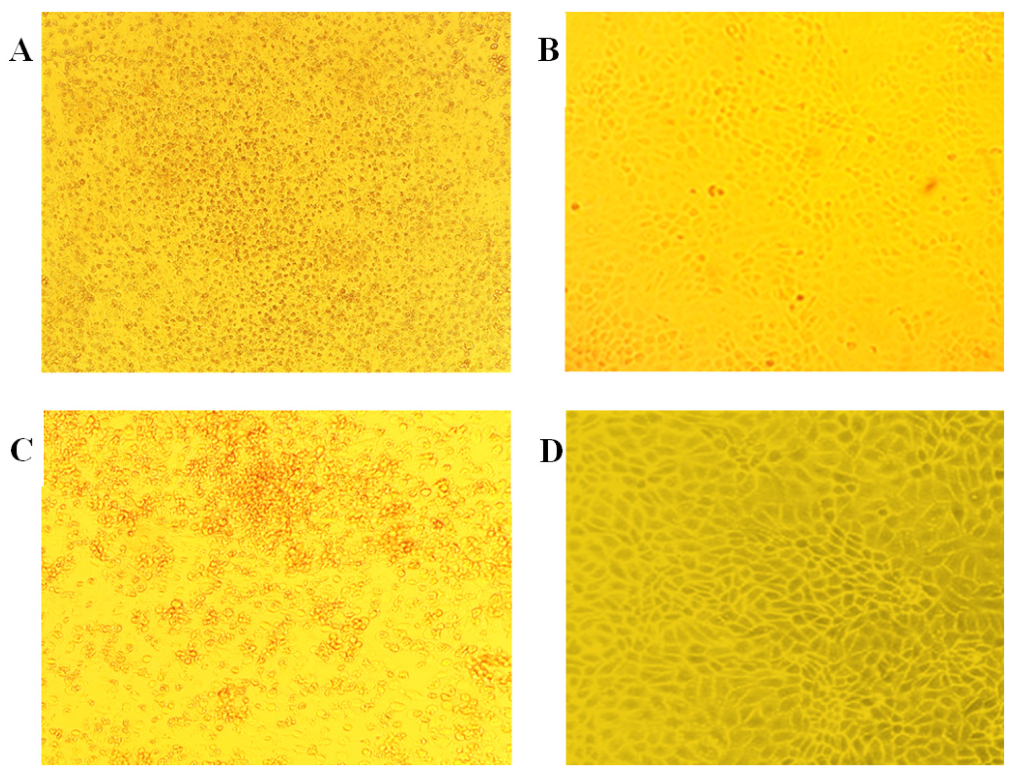 Animals 14 00969 g005