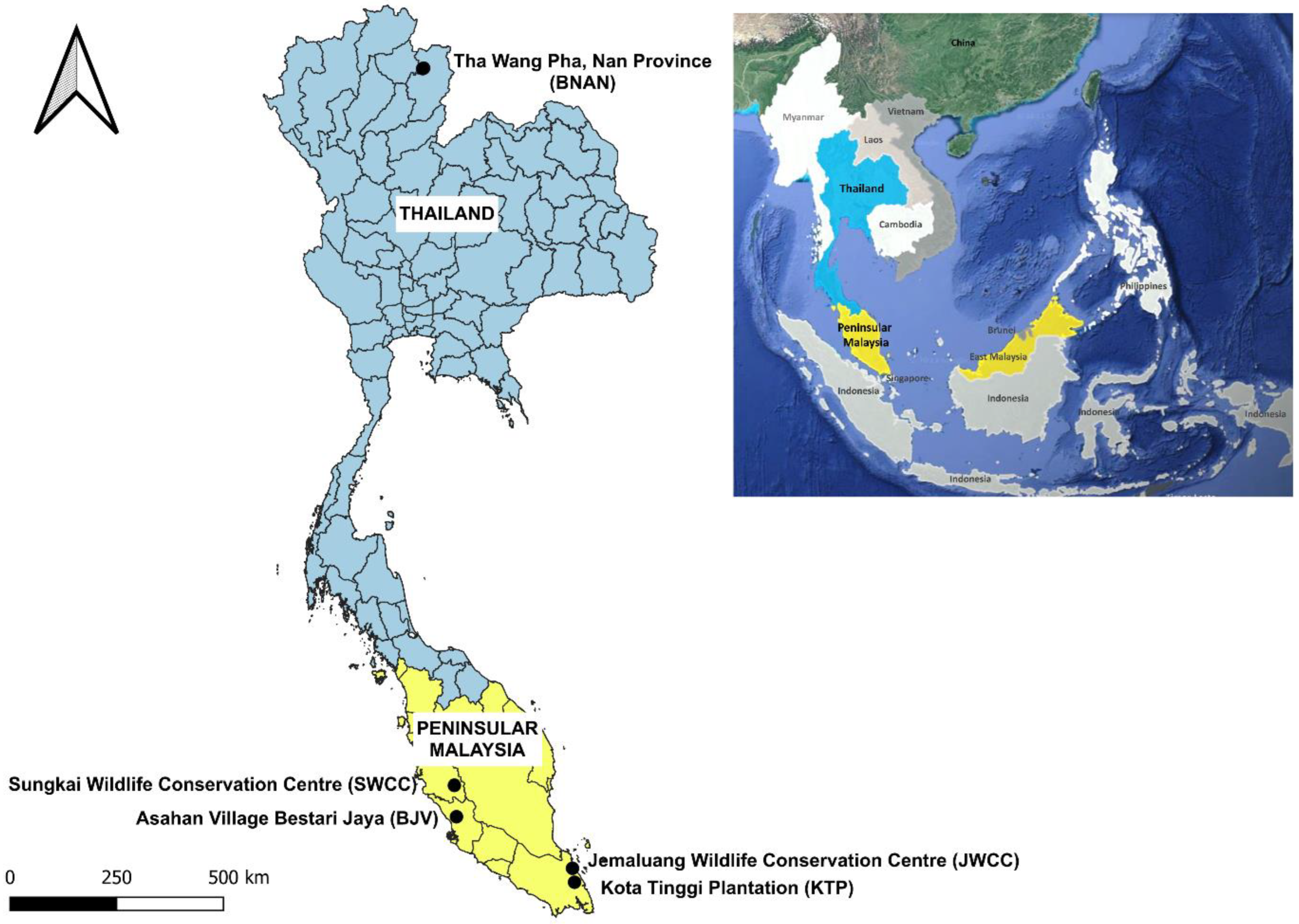 Animals 14 00980 g001