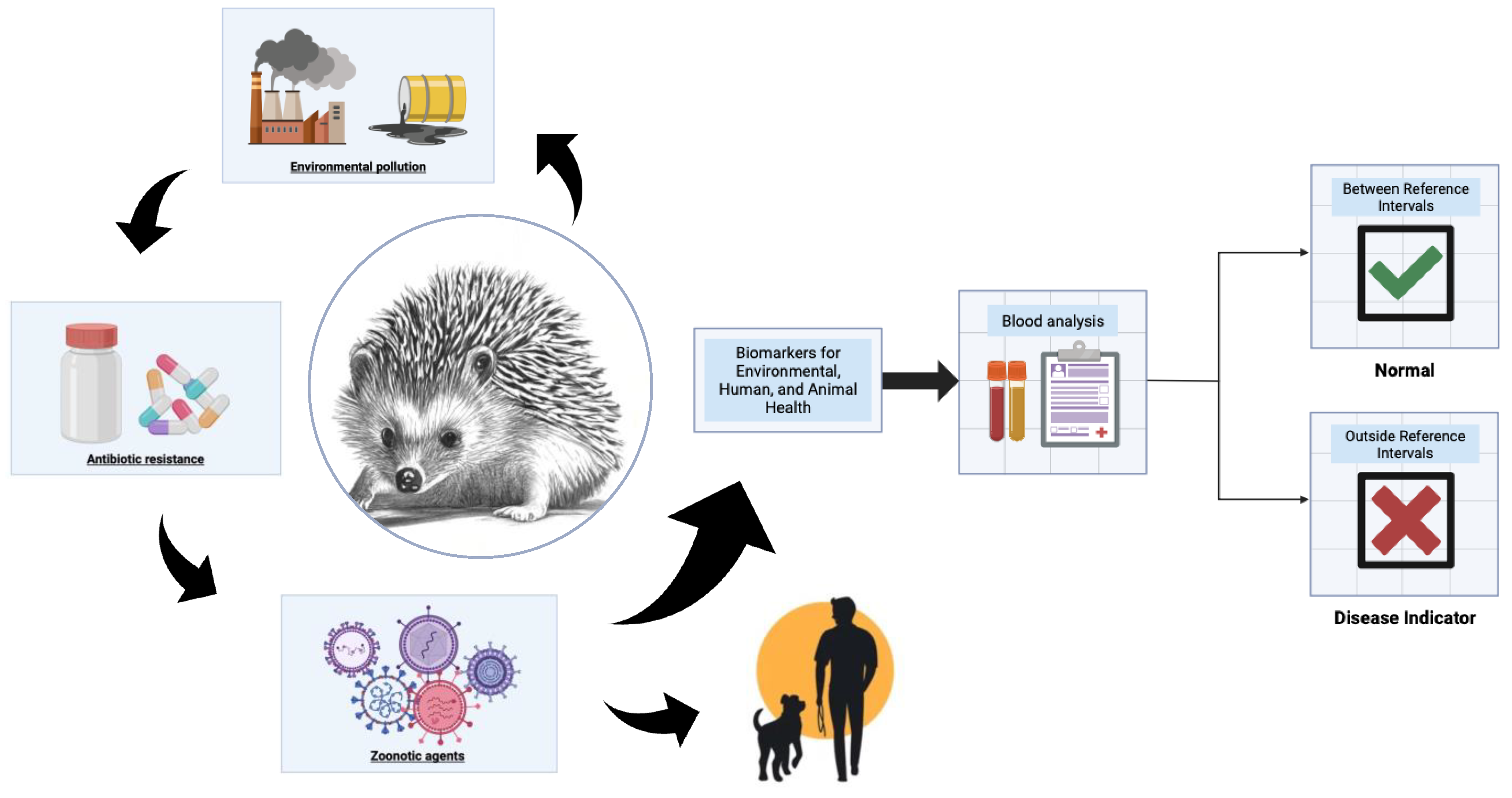 Animals 14 00982 g001