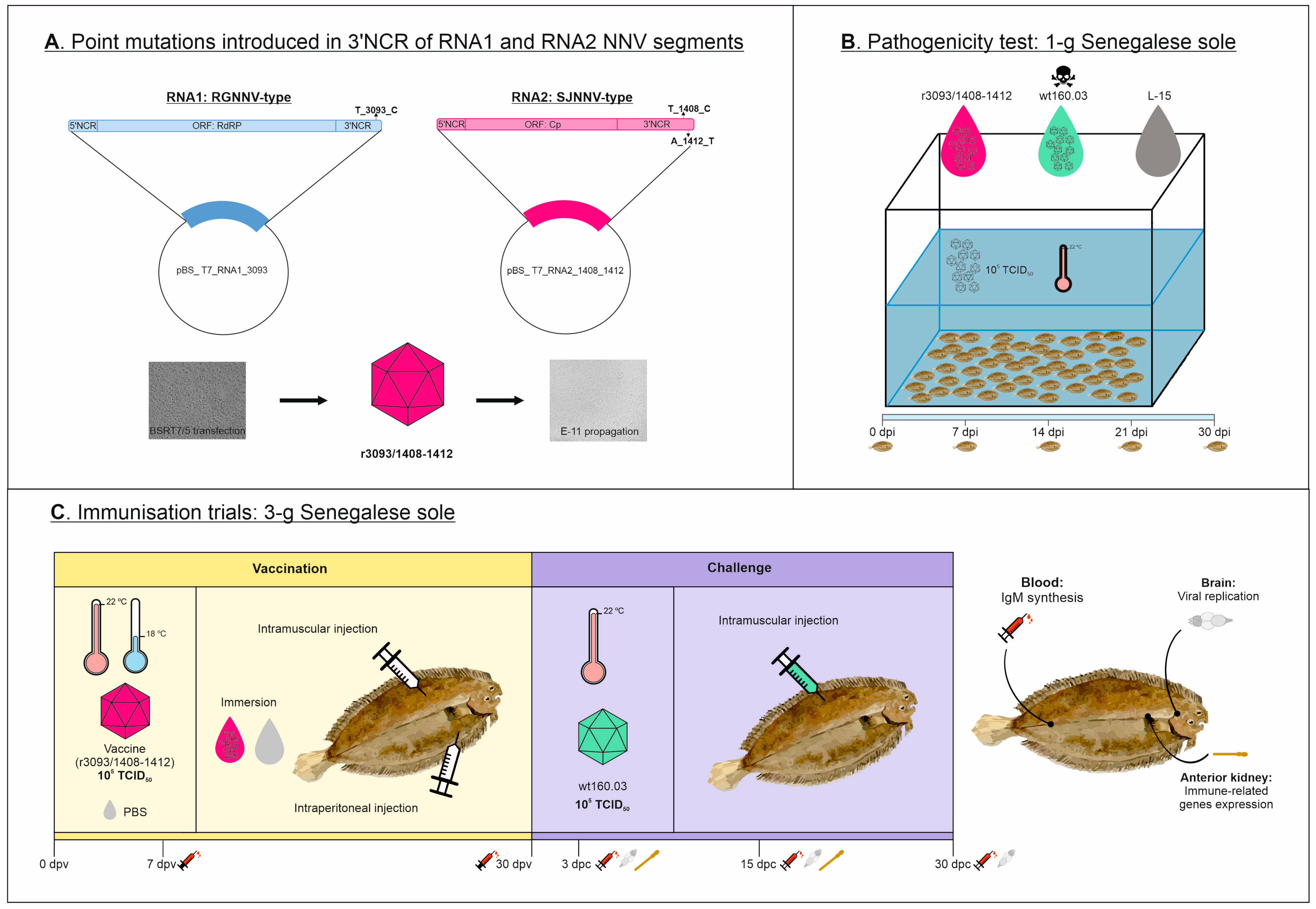 Animals 14 00983 g001