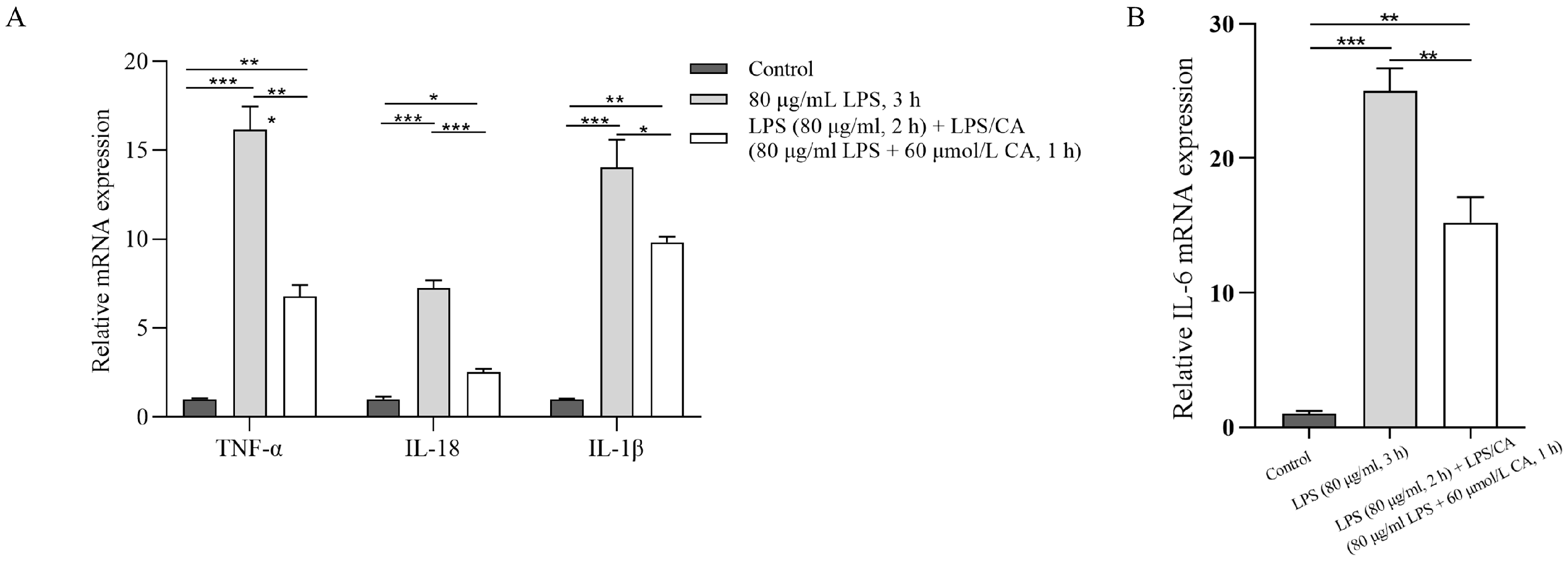 Animals 14 00985 g006