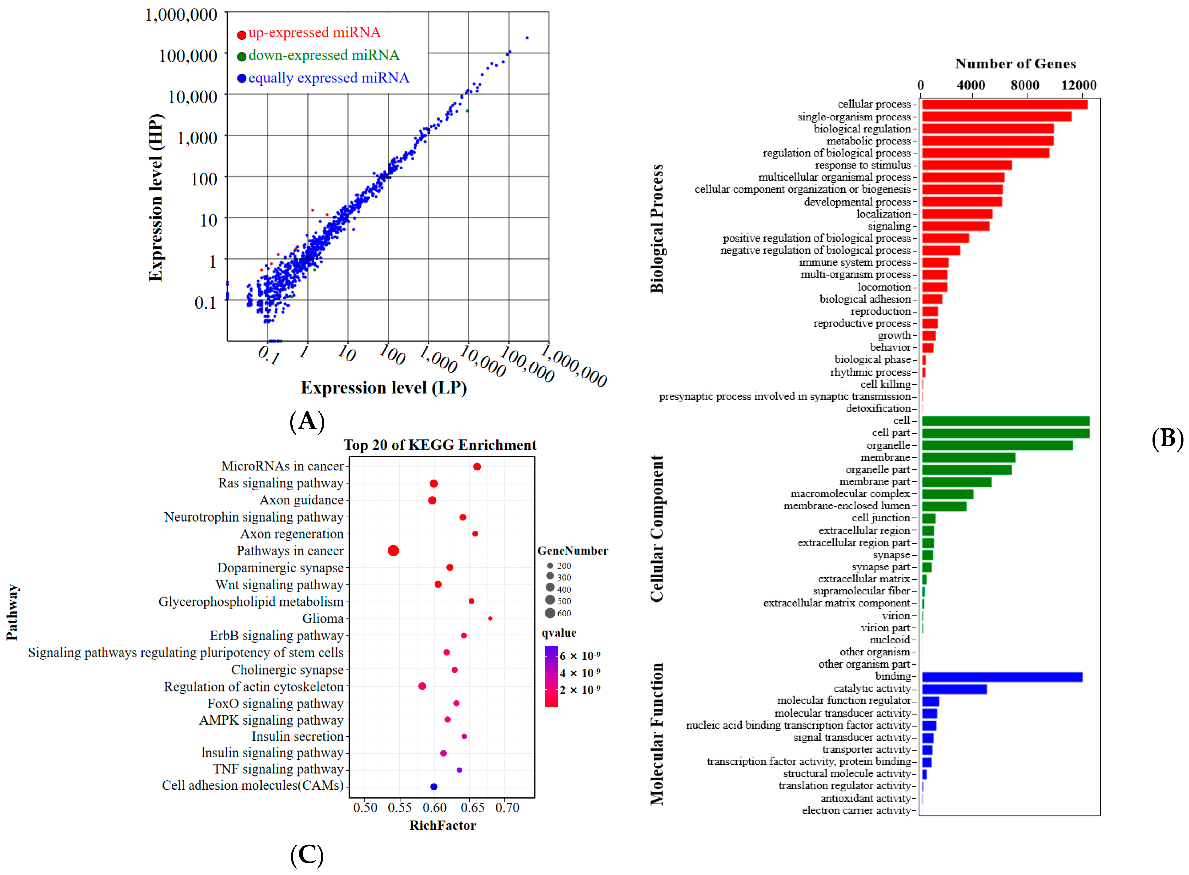 Animals 14 00988 g003