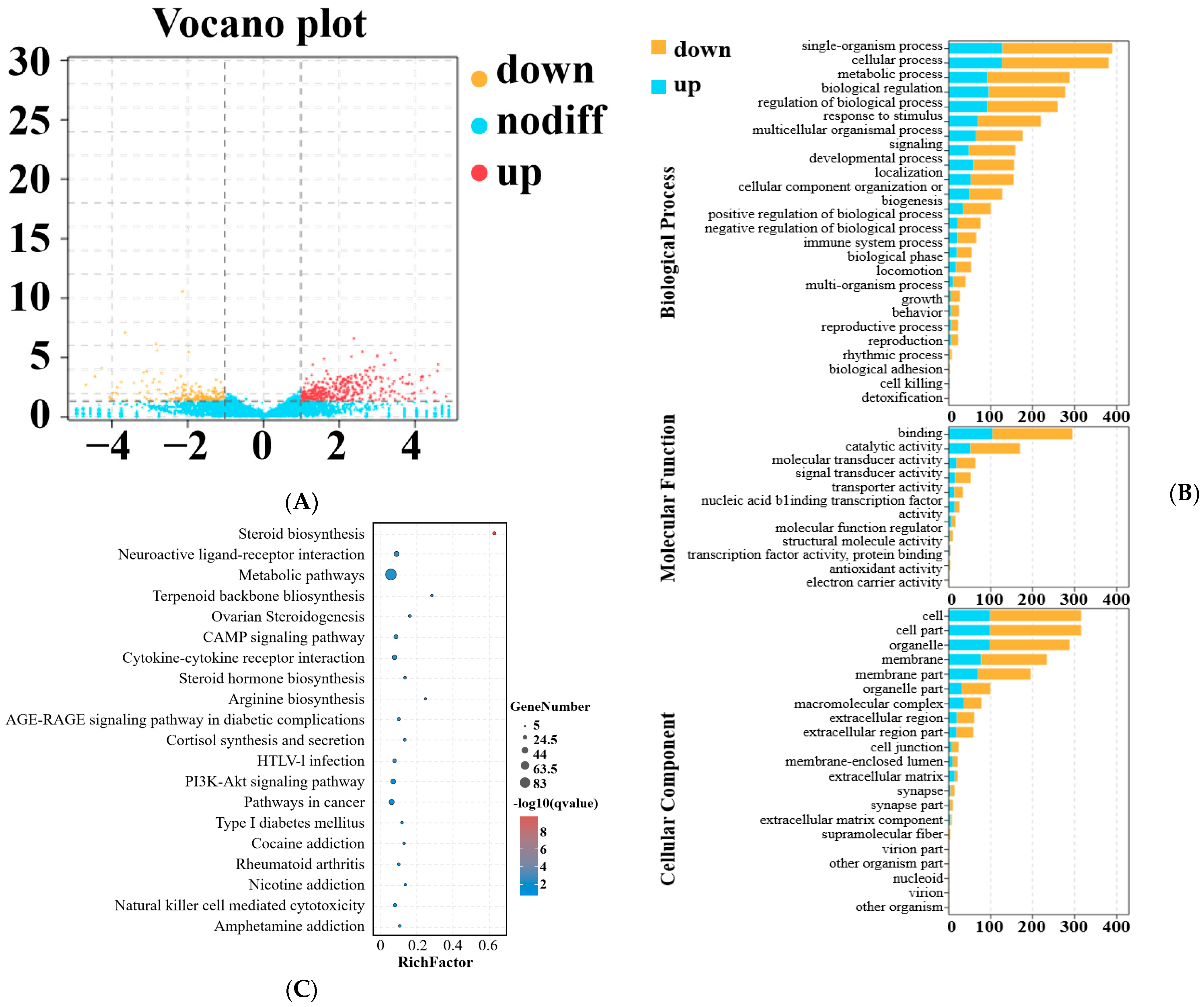 Animals 14 00988 g004