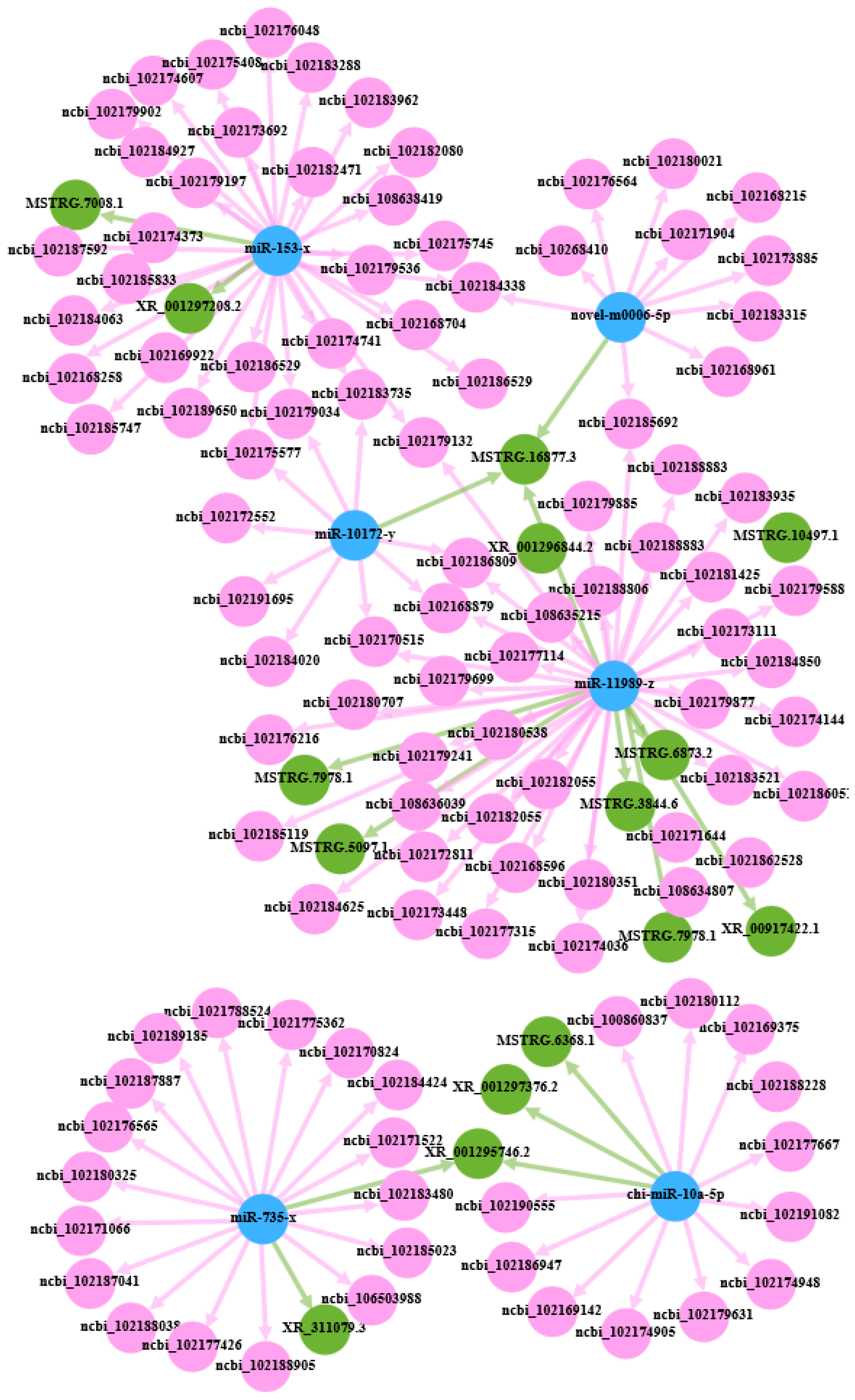 Animals 14 00988 g005