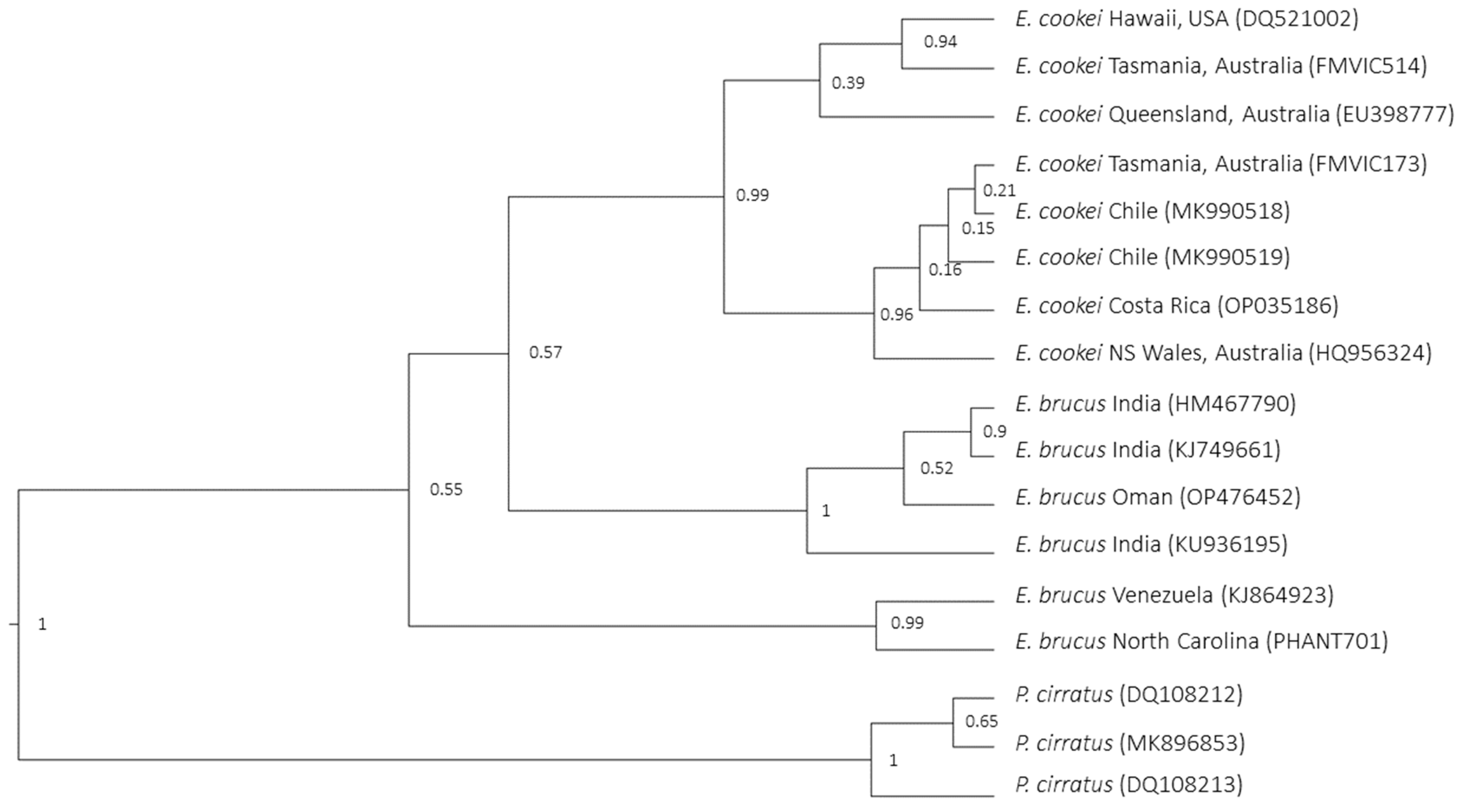 Animals 14 00993 g003