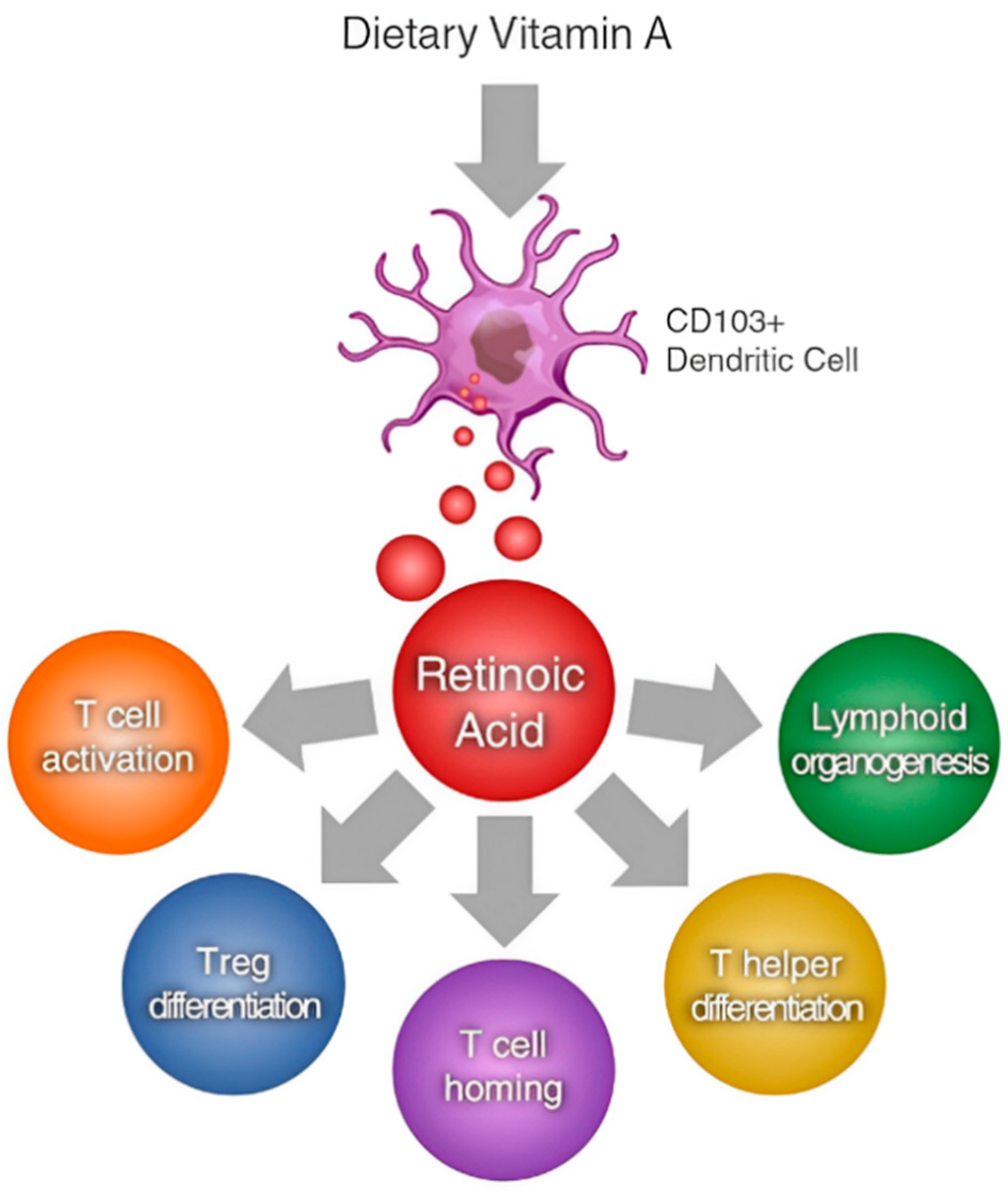 Animals 14 01000 g004