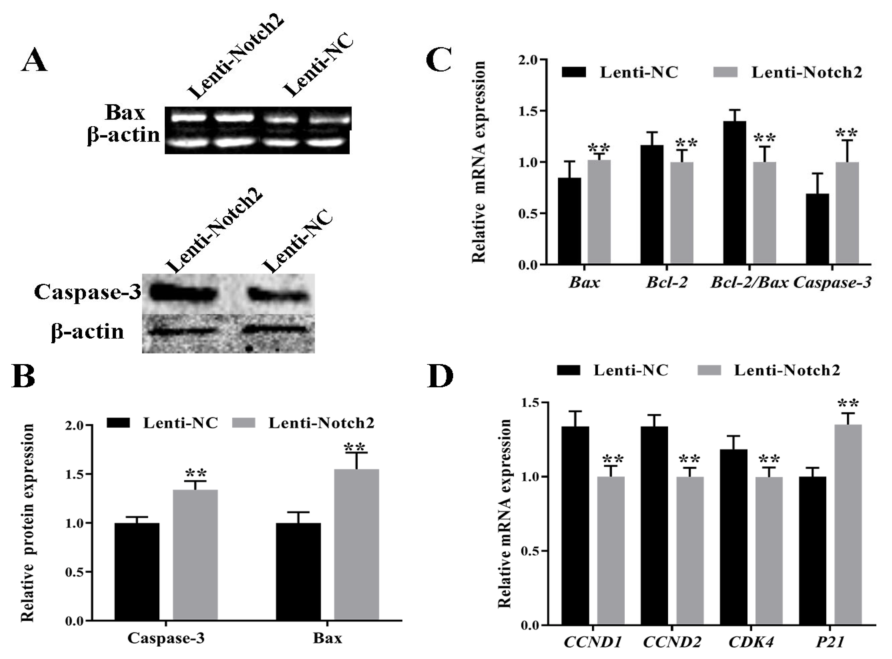 Animals 14 01001 g005 Animals 14 01001 g005