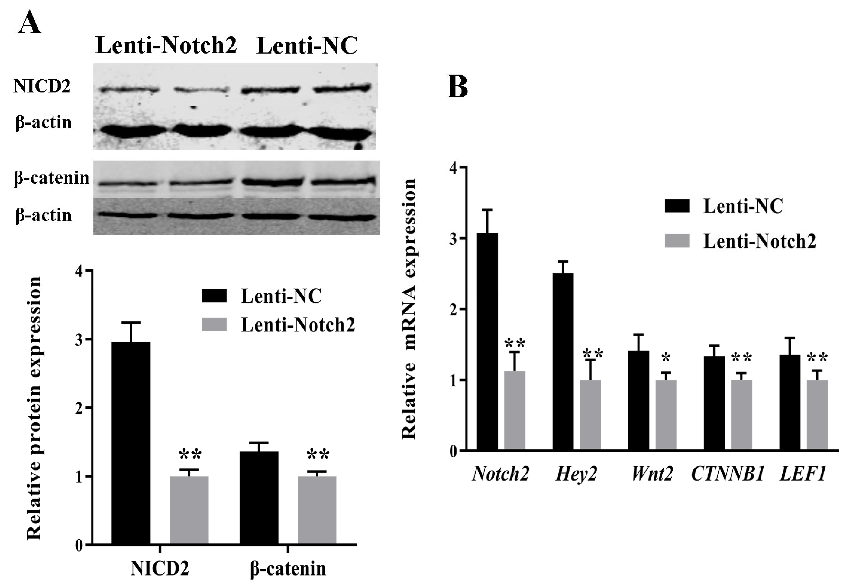 Animals 14 01001 g006 Animals 14 01001 g006