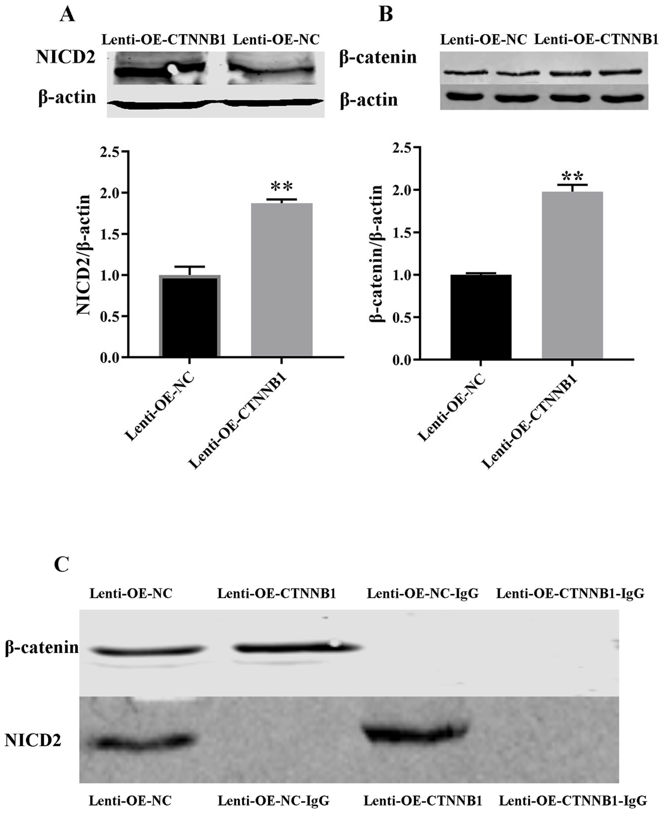 Animals 14 01001 g011 Animals 14 01001 g011