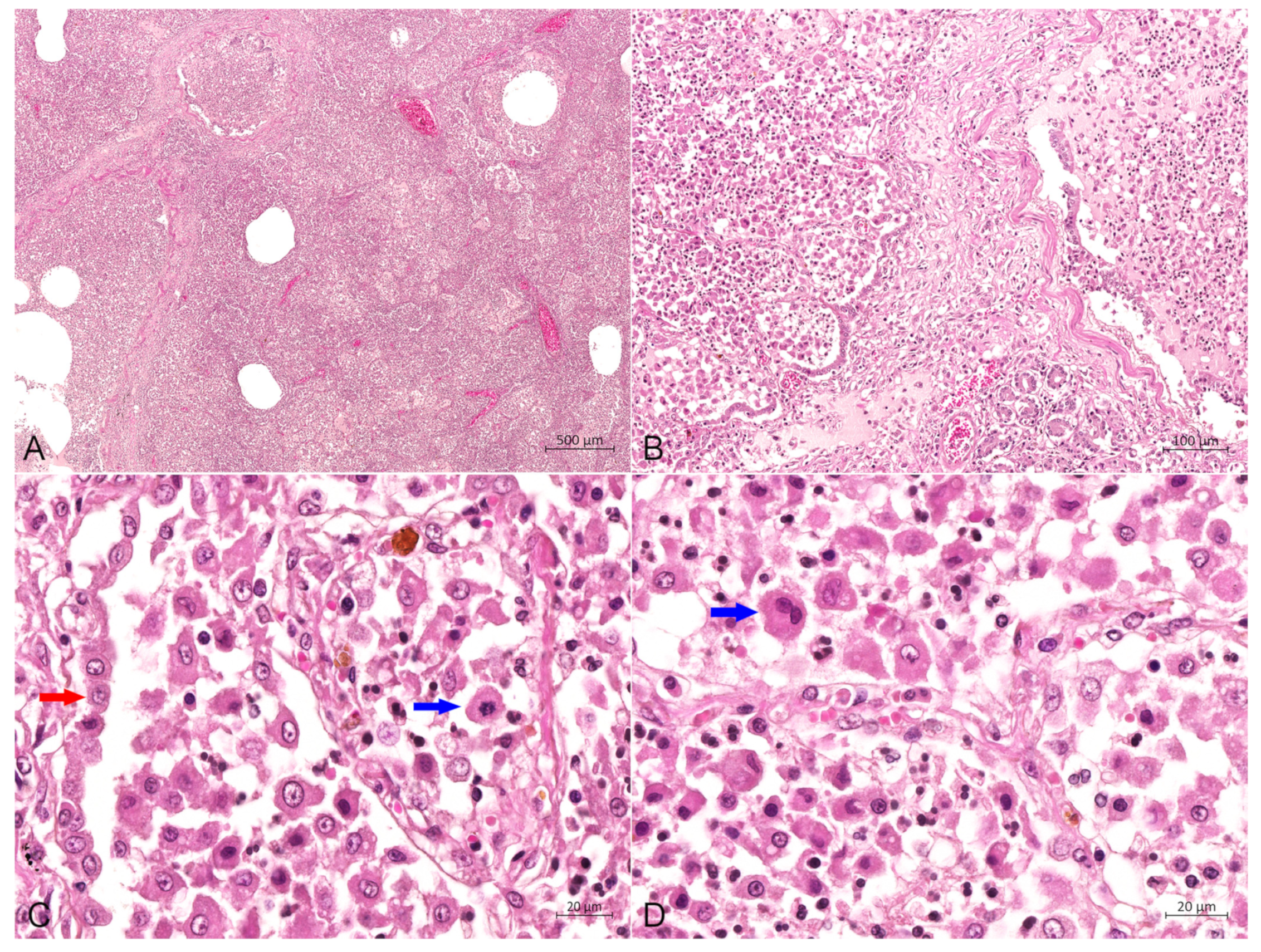 Animals 14 01011 g004