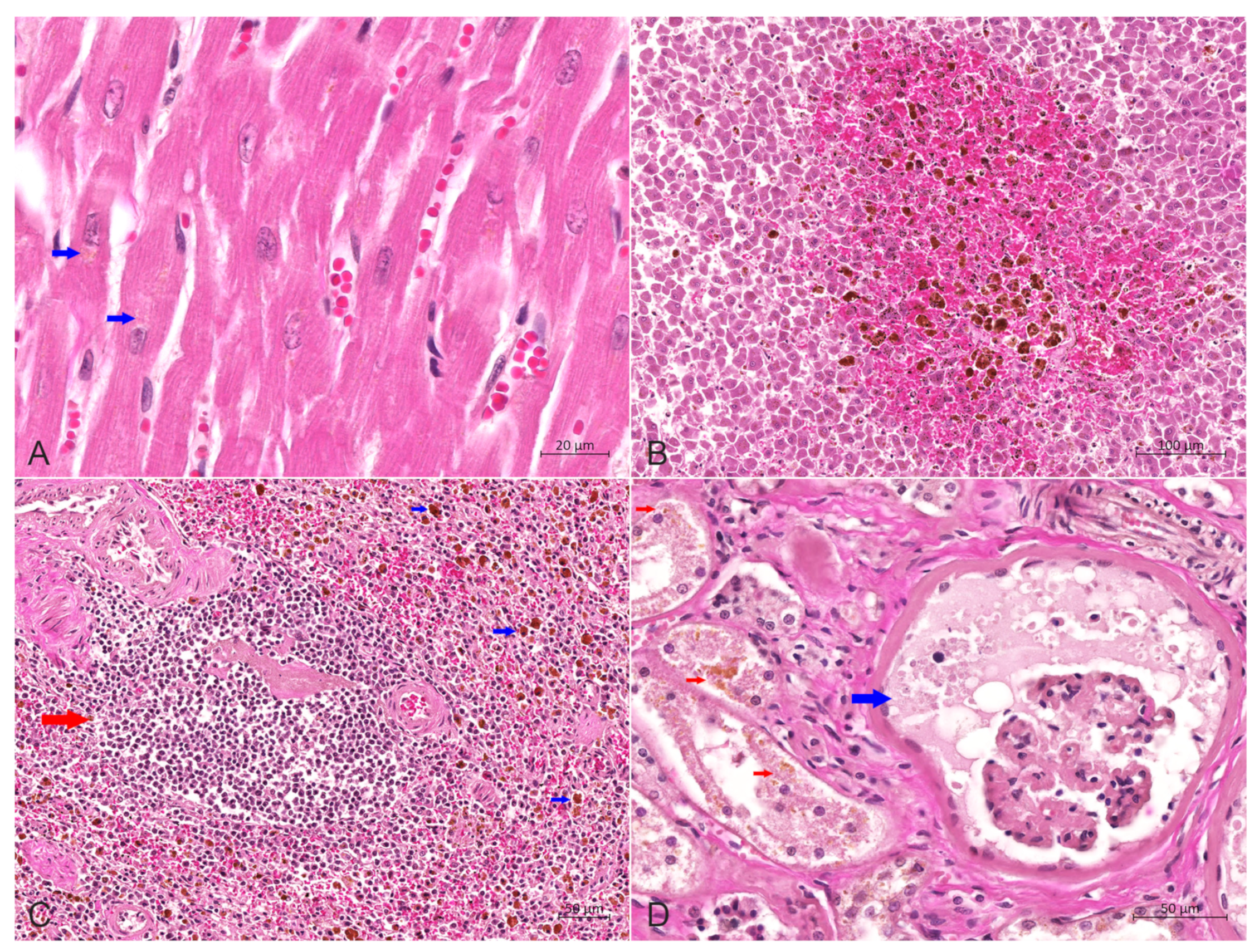 Animals 14 01011 g005