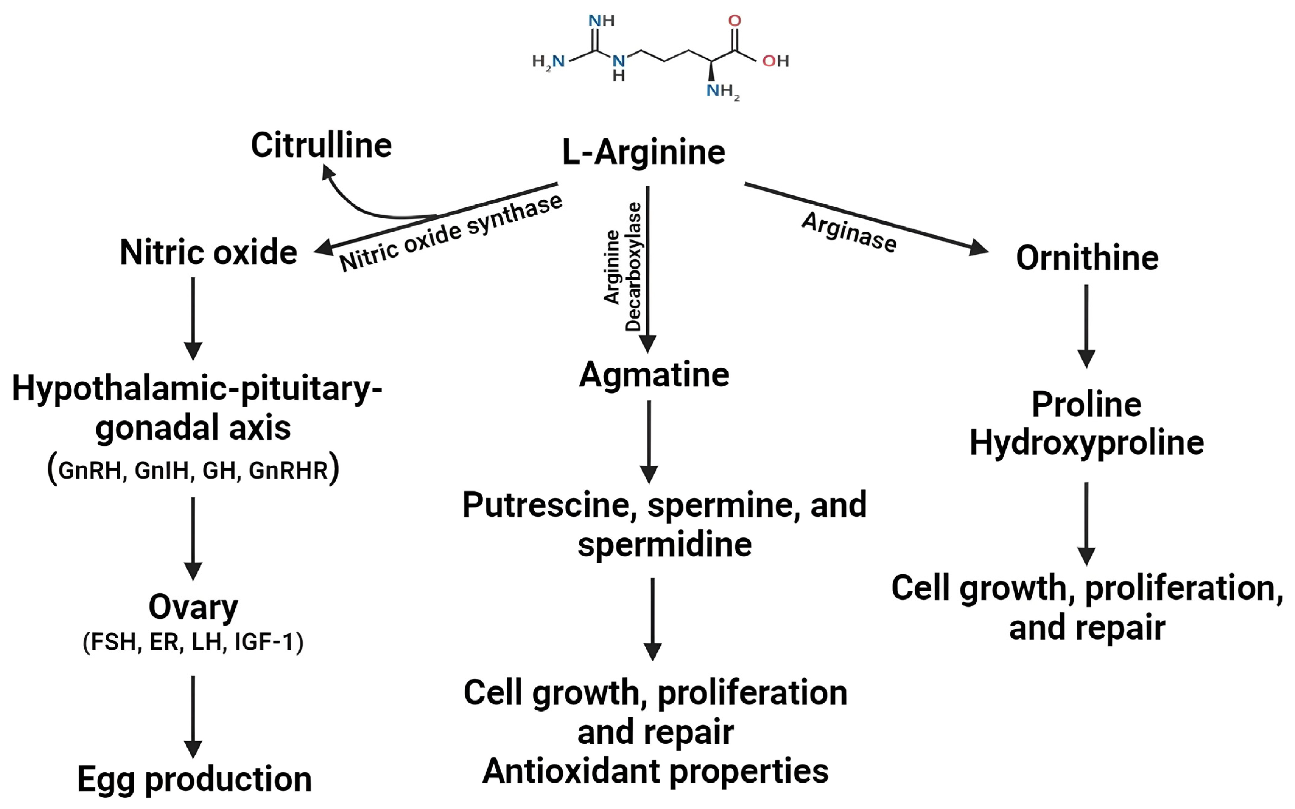 Animals 14 01015 g002 Animals 14 01015 g002