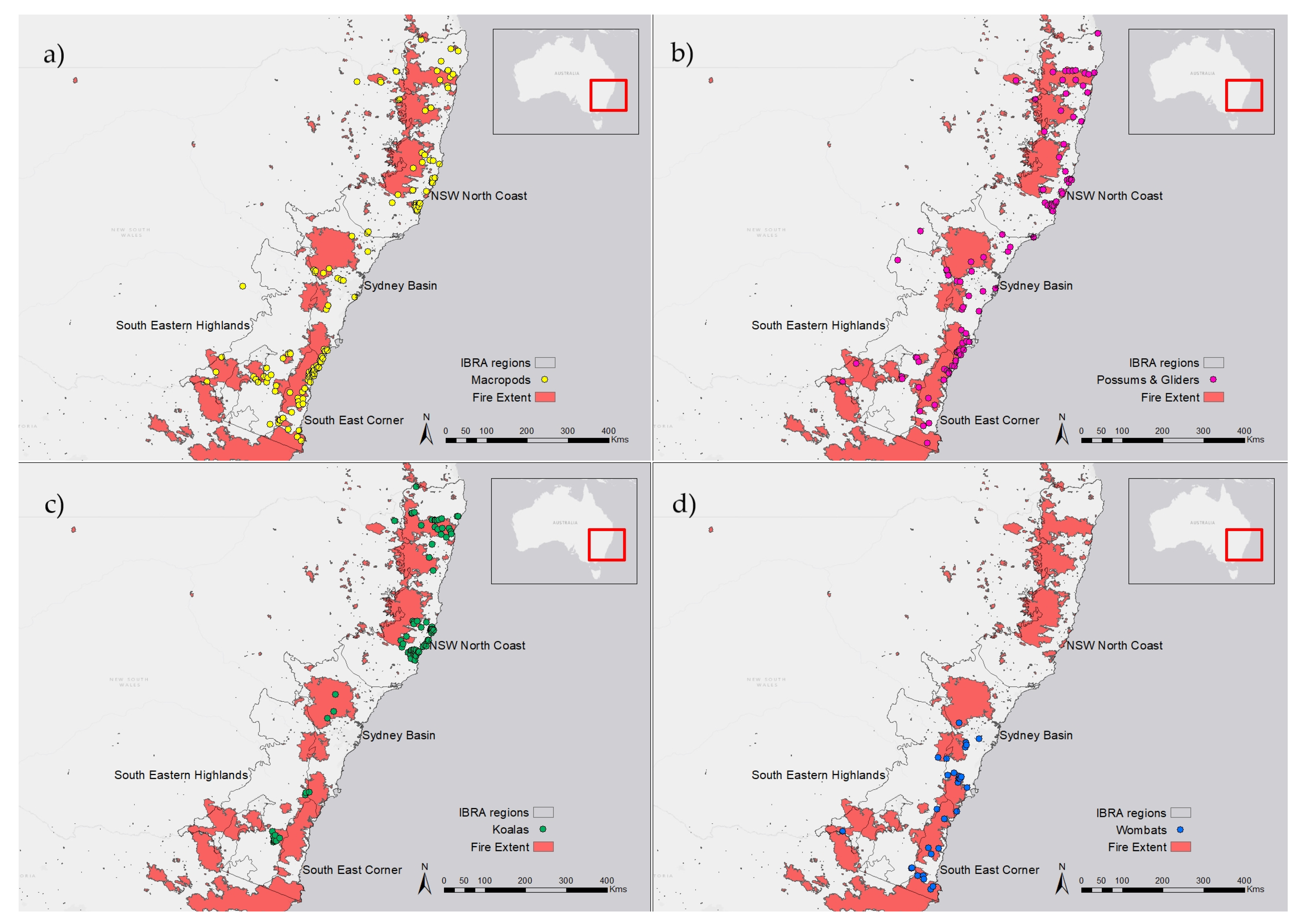 Animals 14 01019 g009