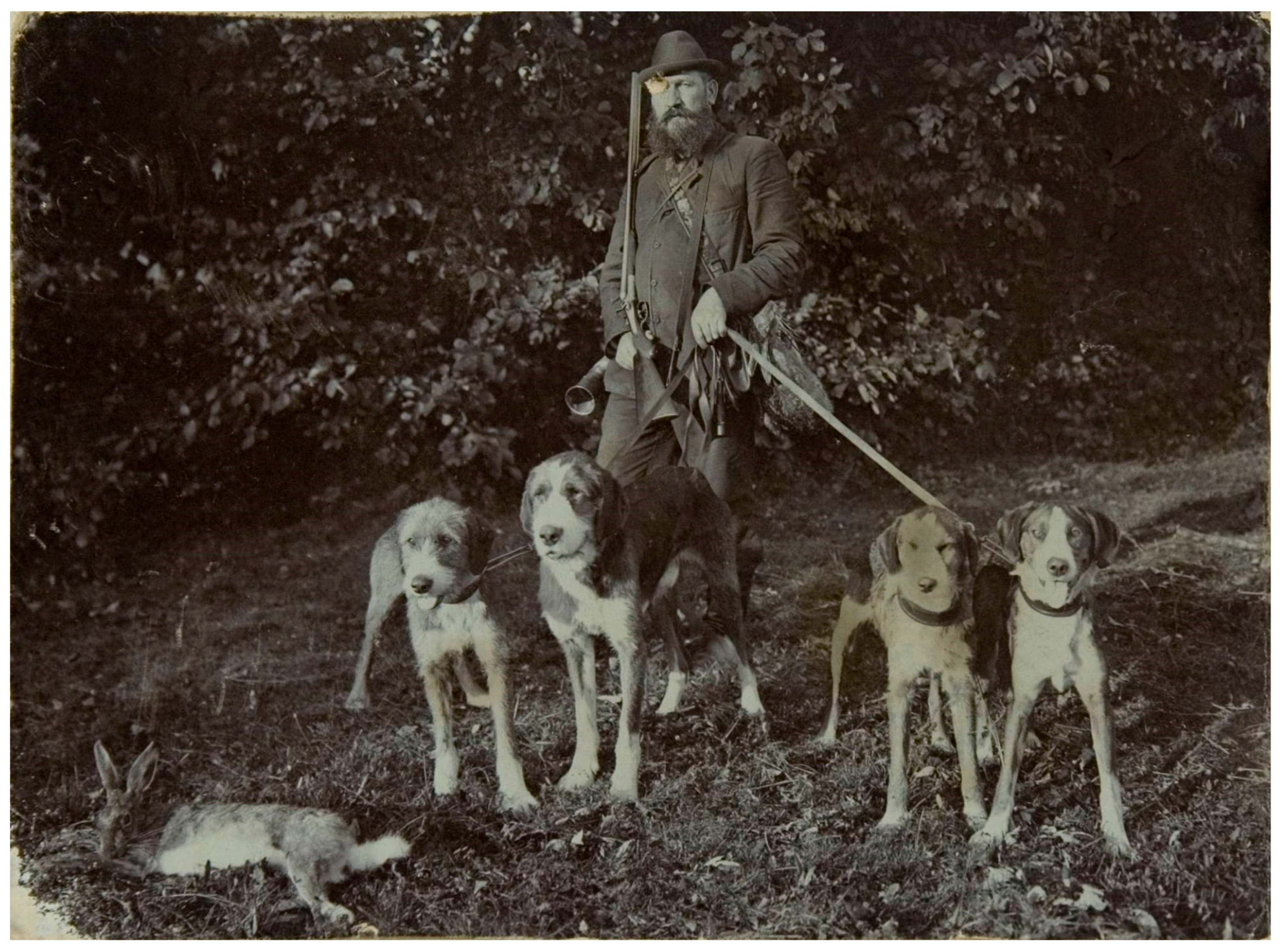 Animals 14 01023 g004