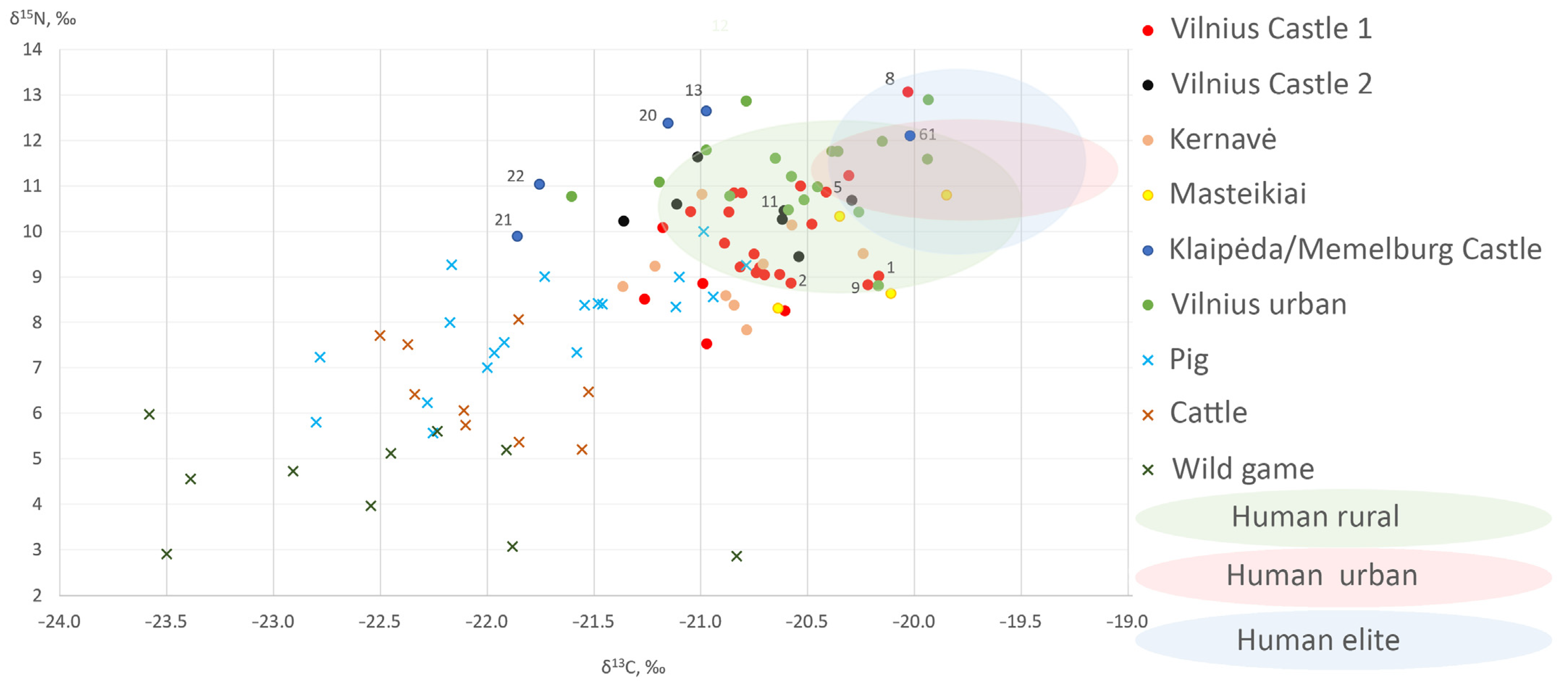 Animals 14 01023 g010