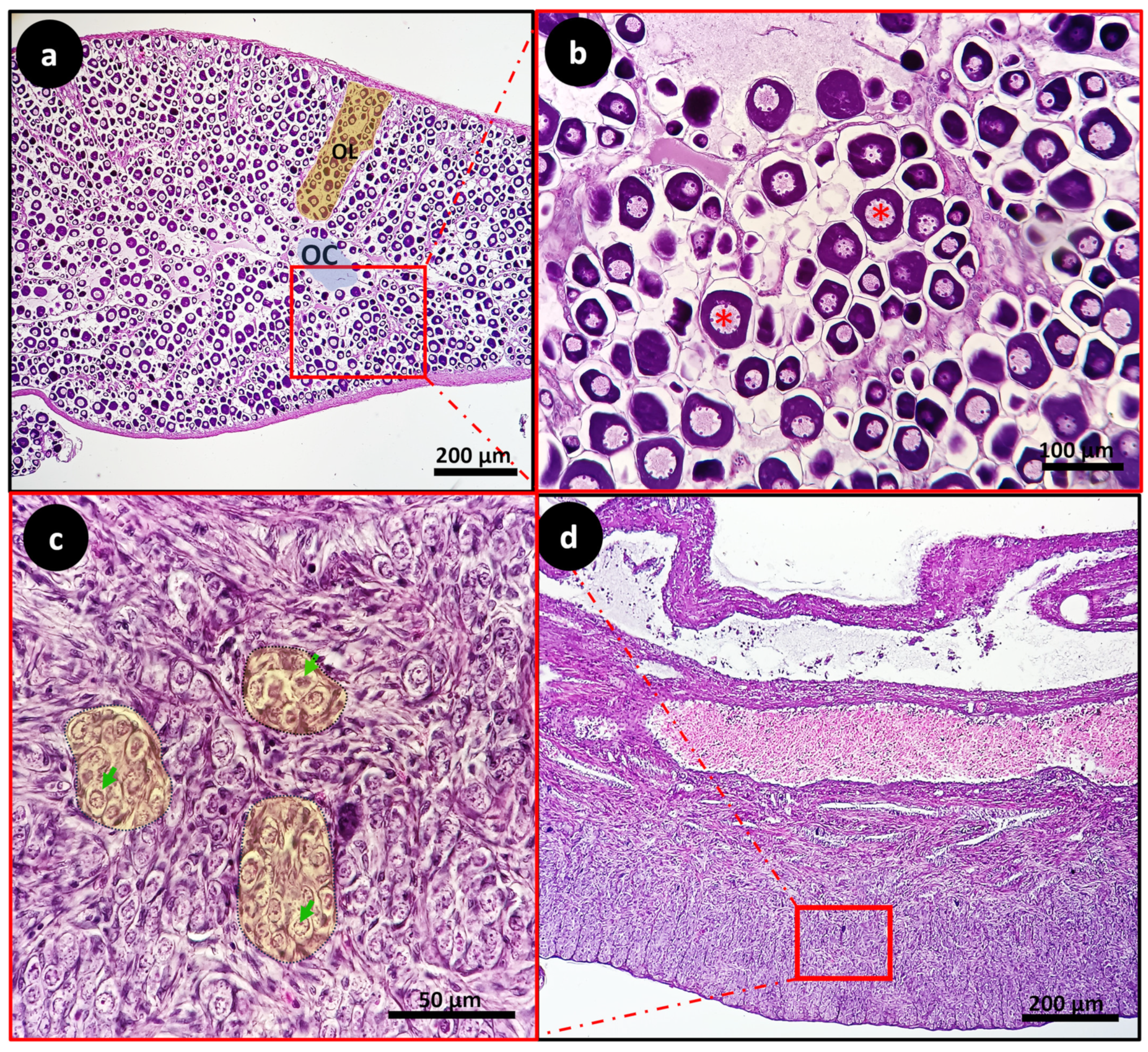 Animals 14 01024 g004