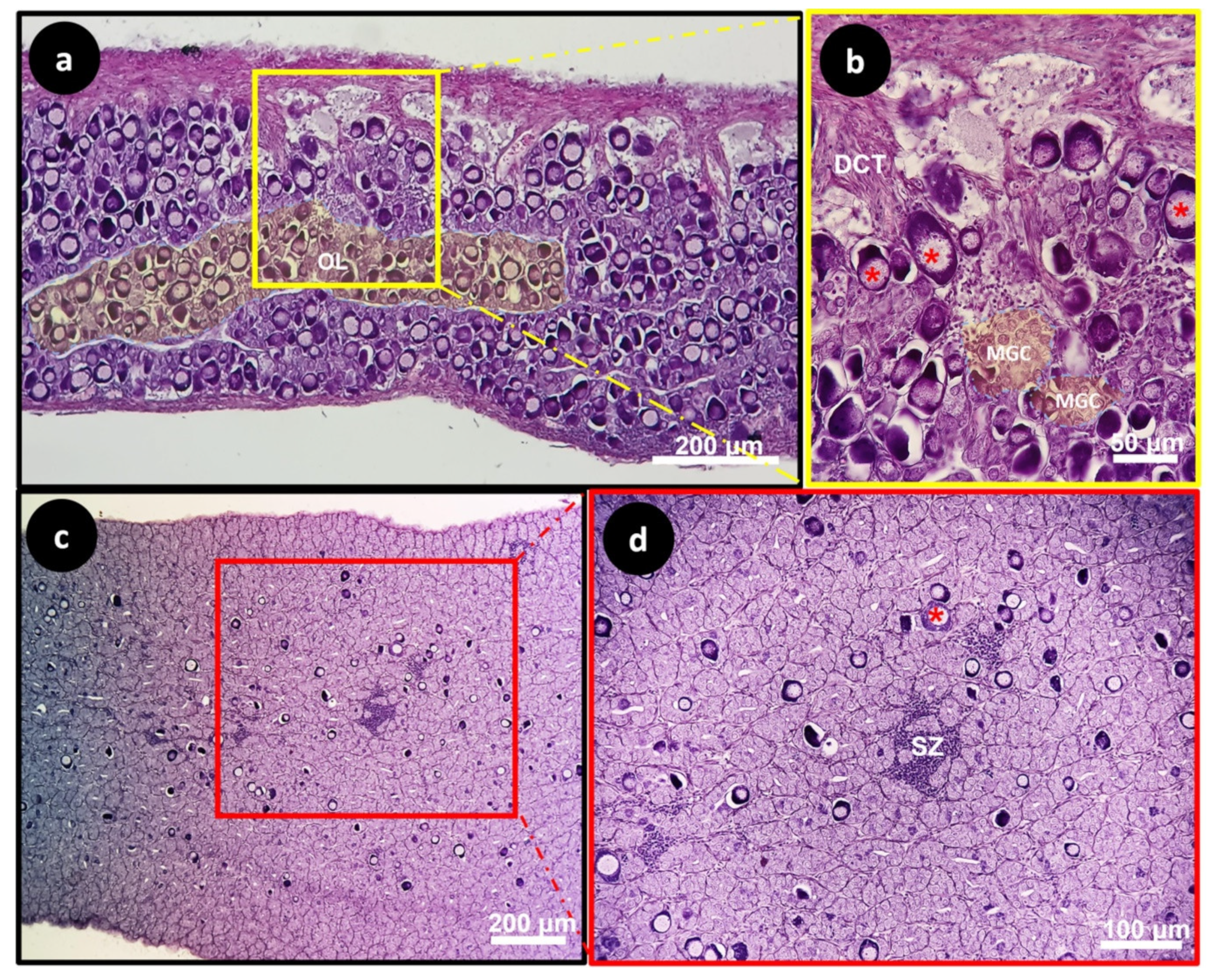 Animals 14 01024 g005
