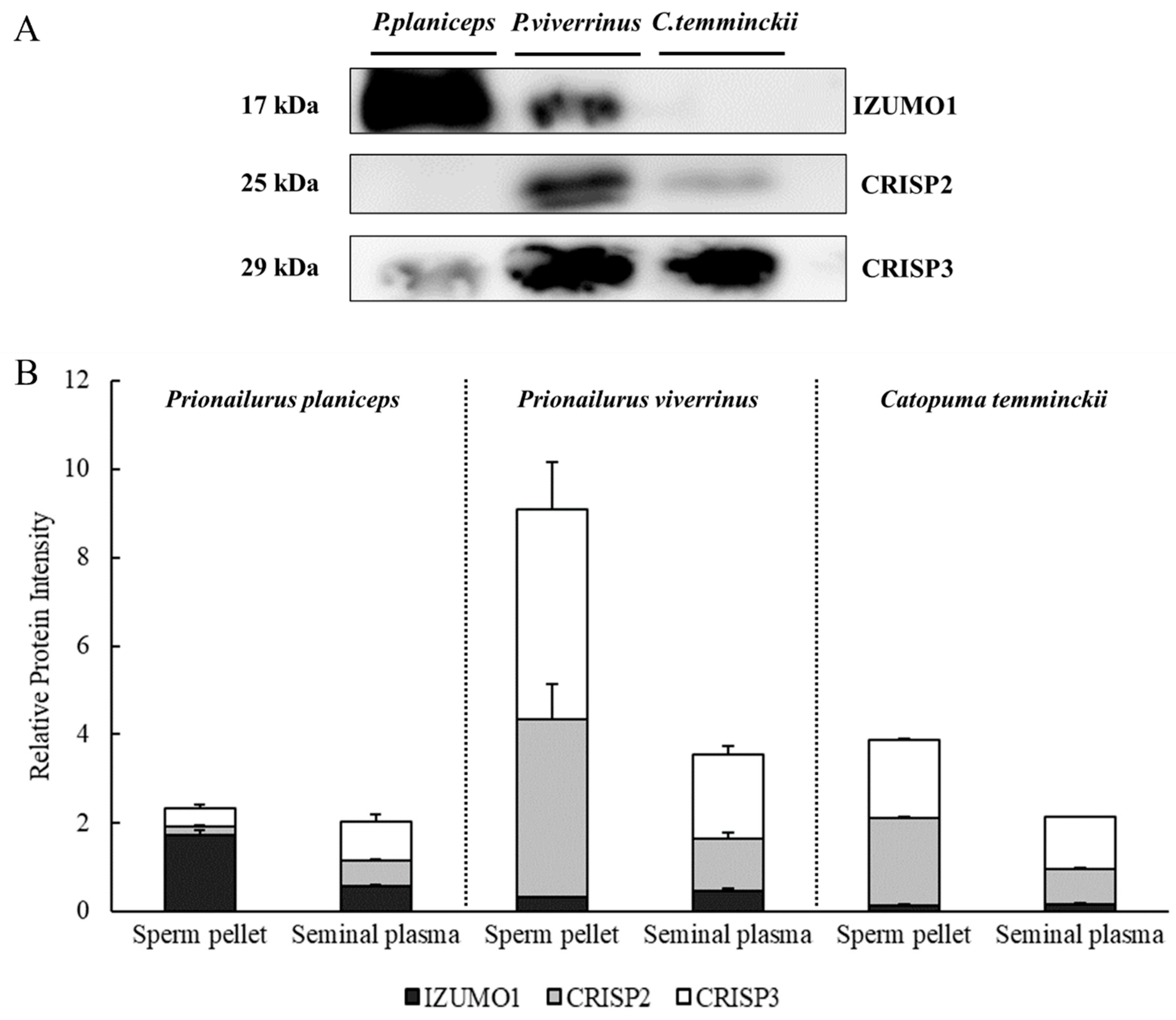 Animals 14 01027 g004 Animals 14 01027 g004