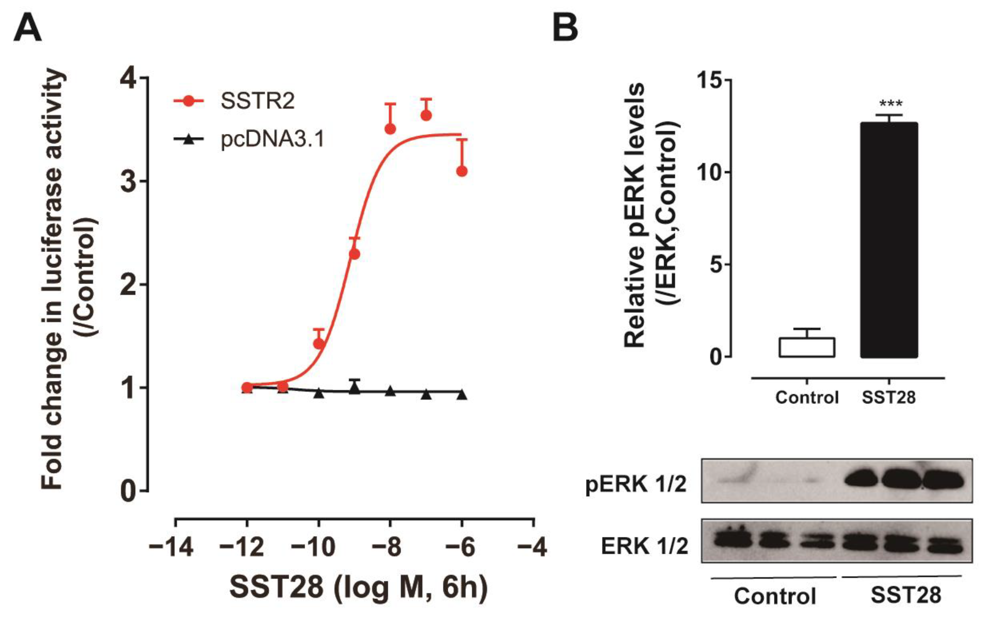 Animals 14 01034 g006