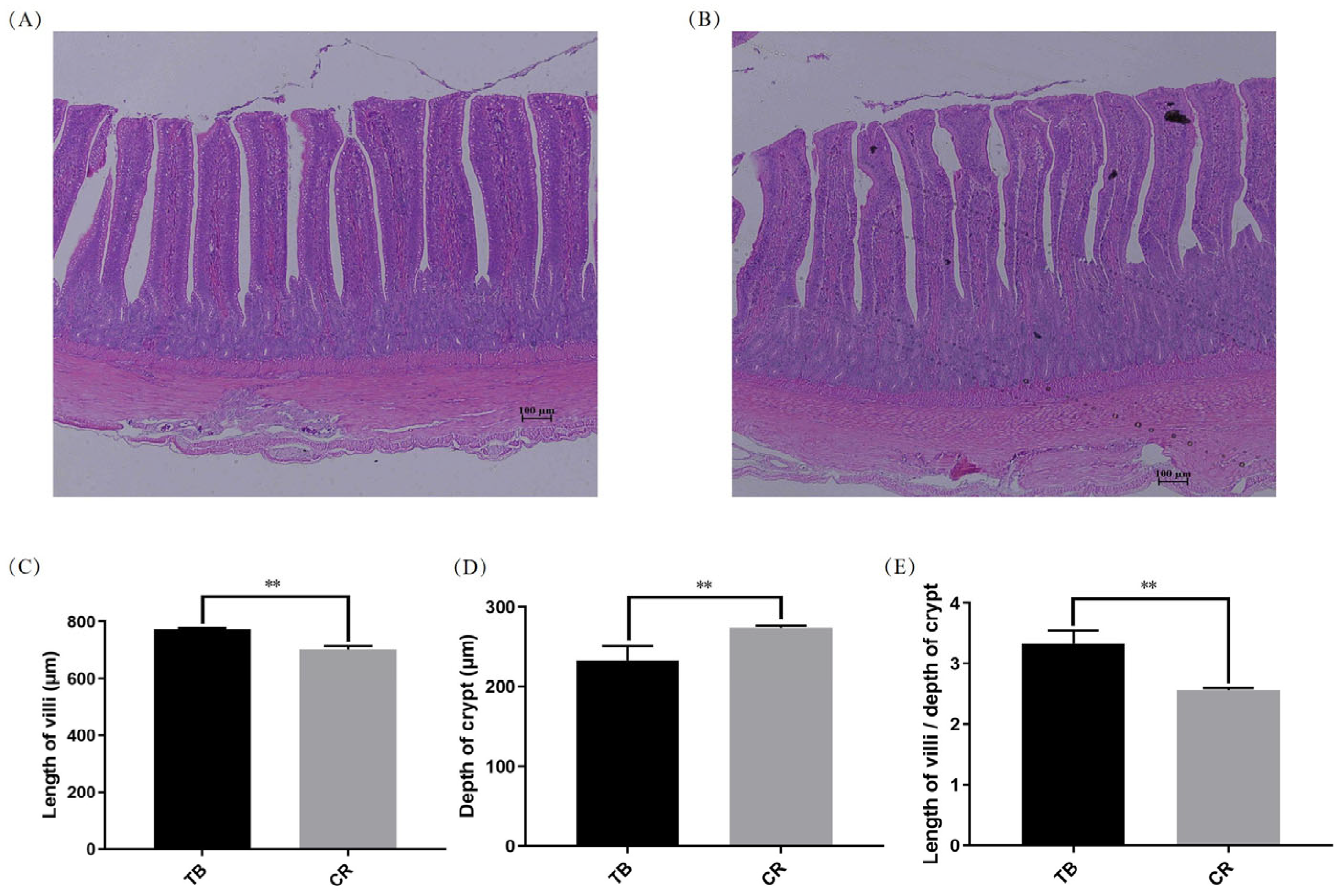 Animals 14 01037 g001