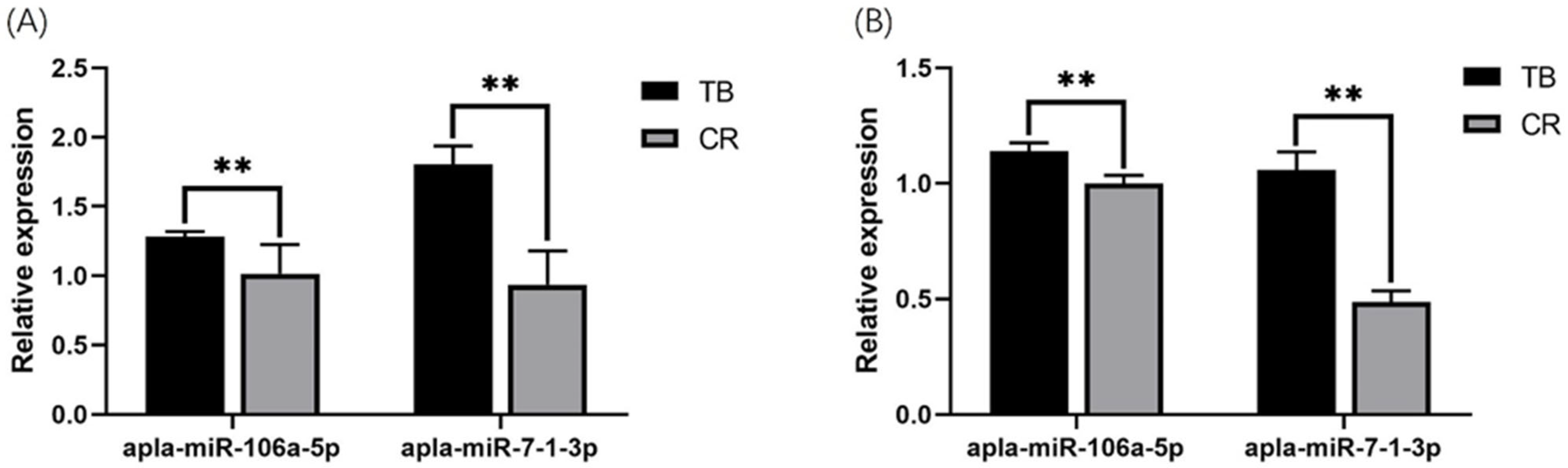 Animals 14 01037 g003