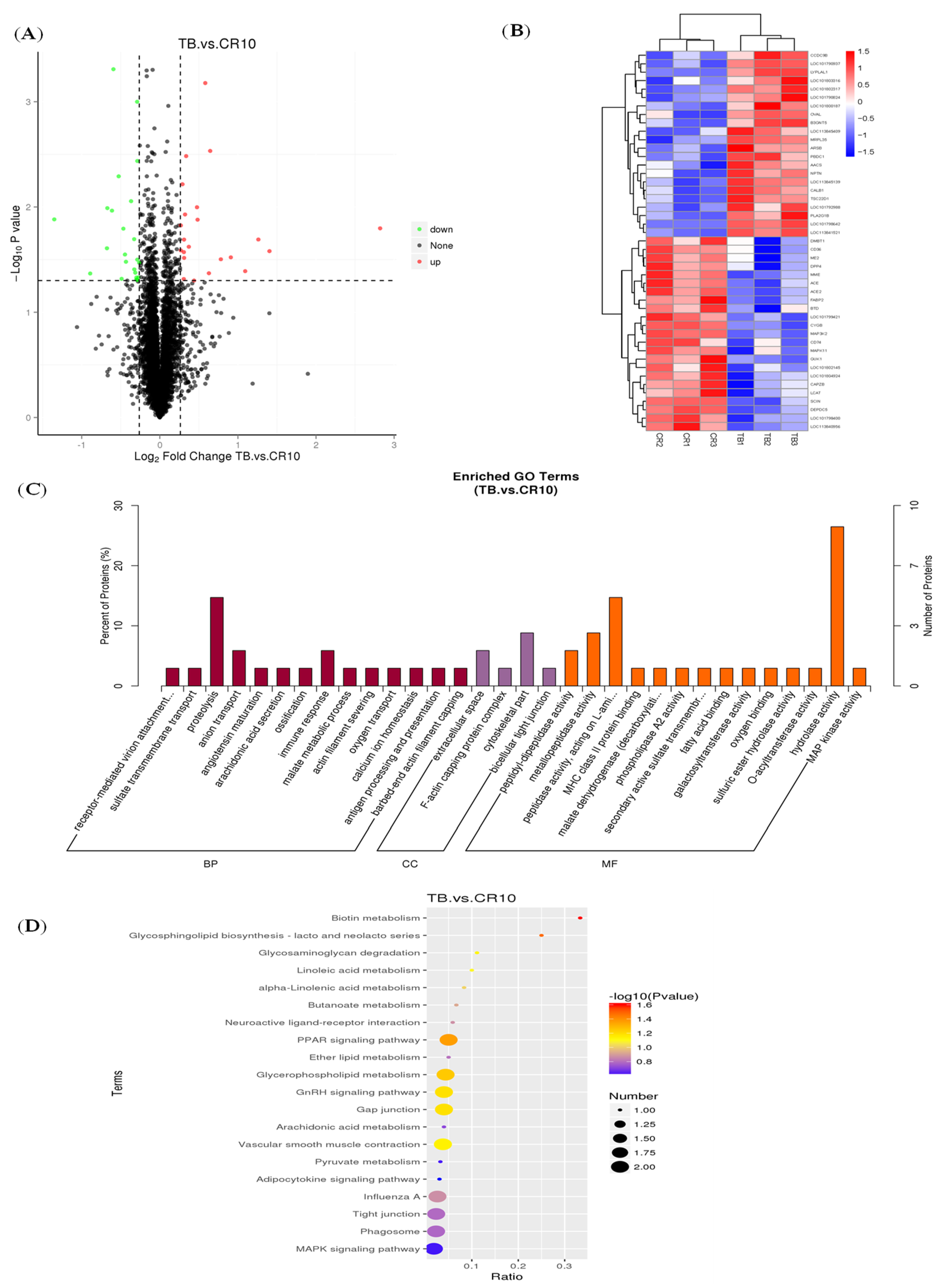 Animals 14 01037 g006