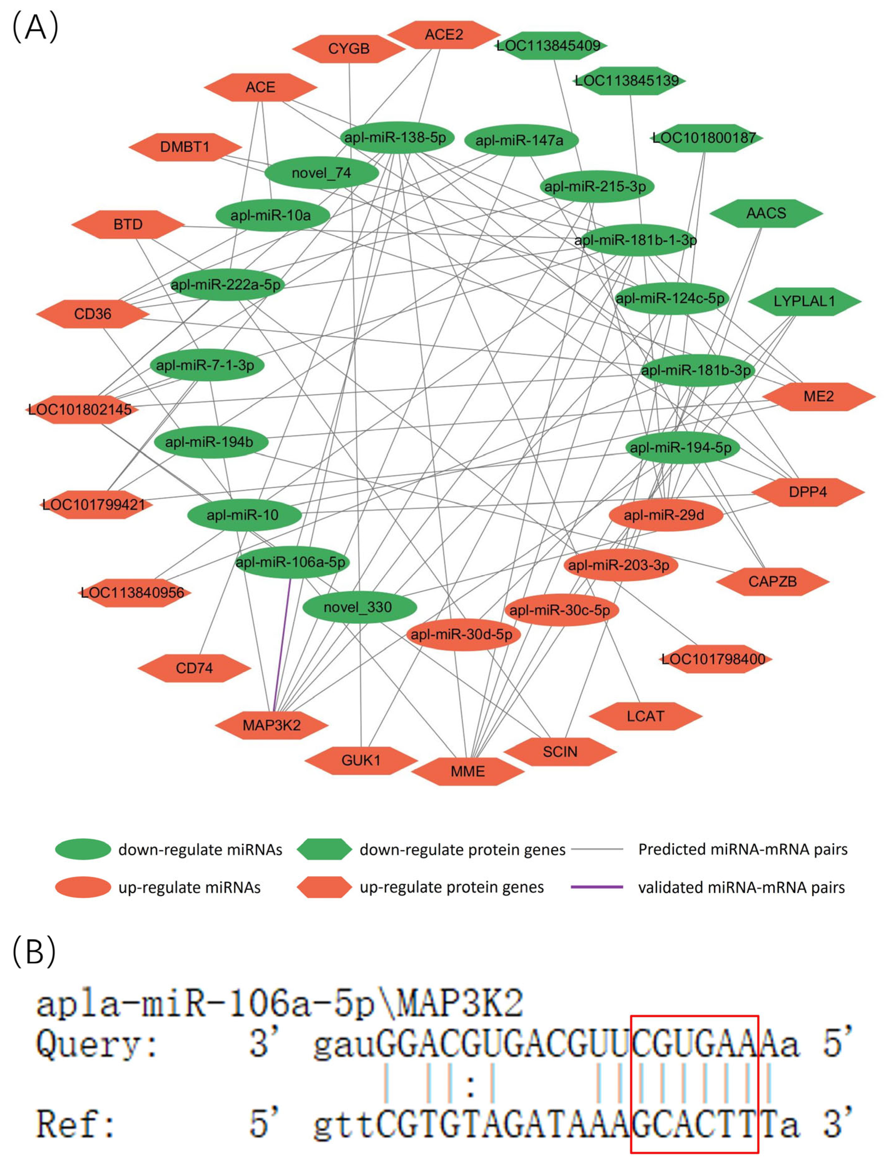 Animals 14 01037 g007