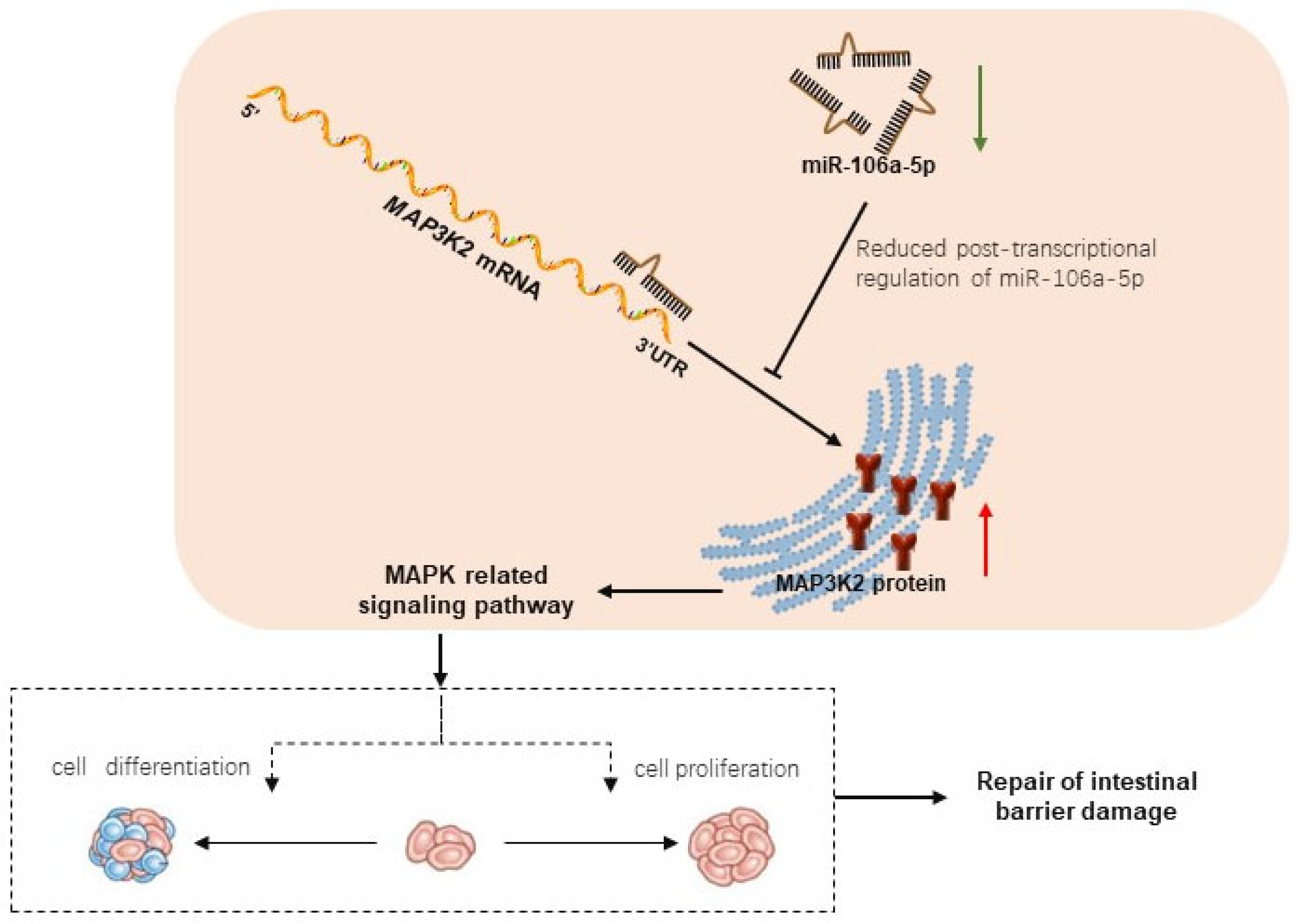 Animals 14 01037 g009