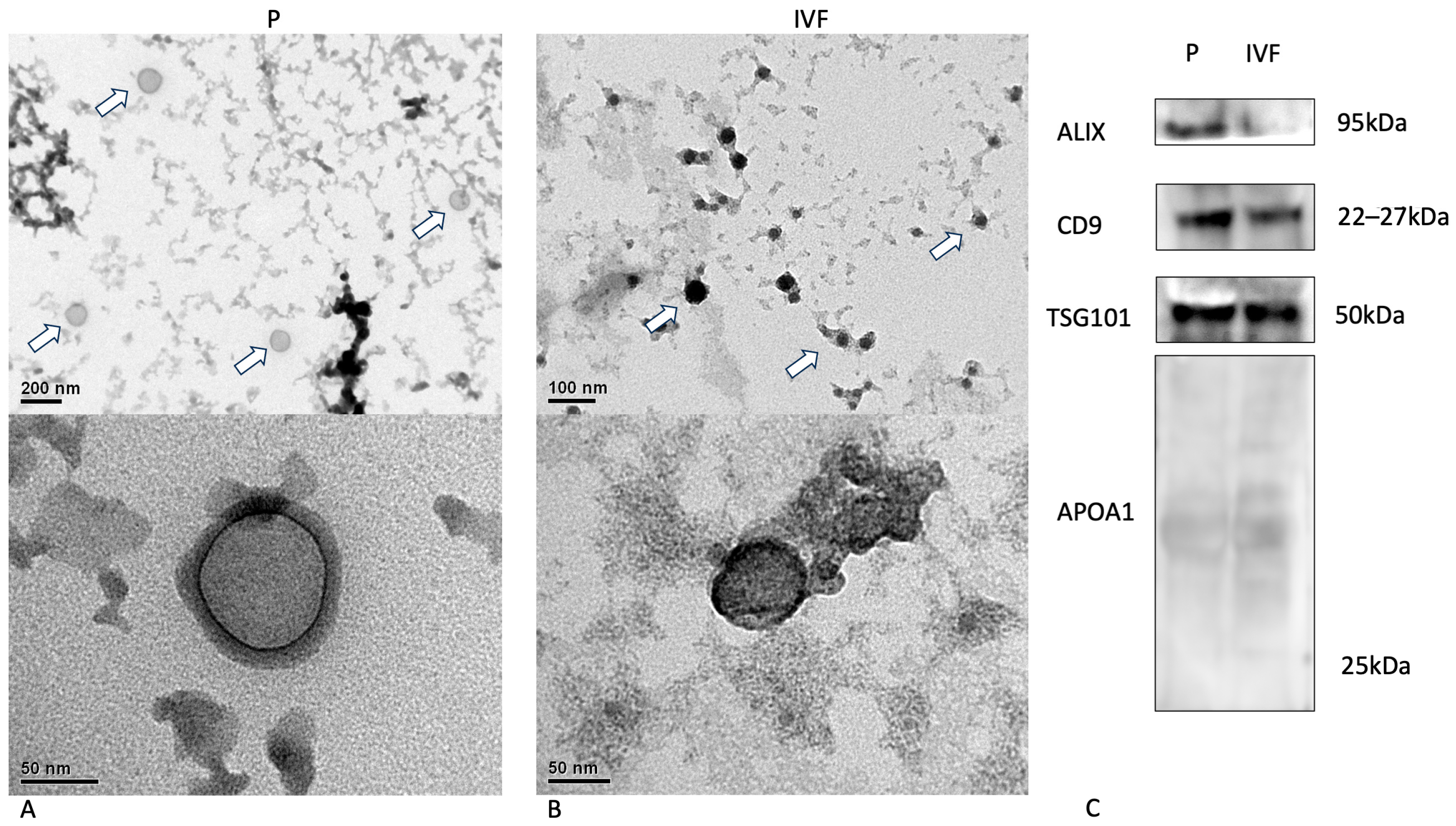 Animals 14 01041 g003