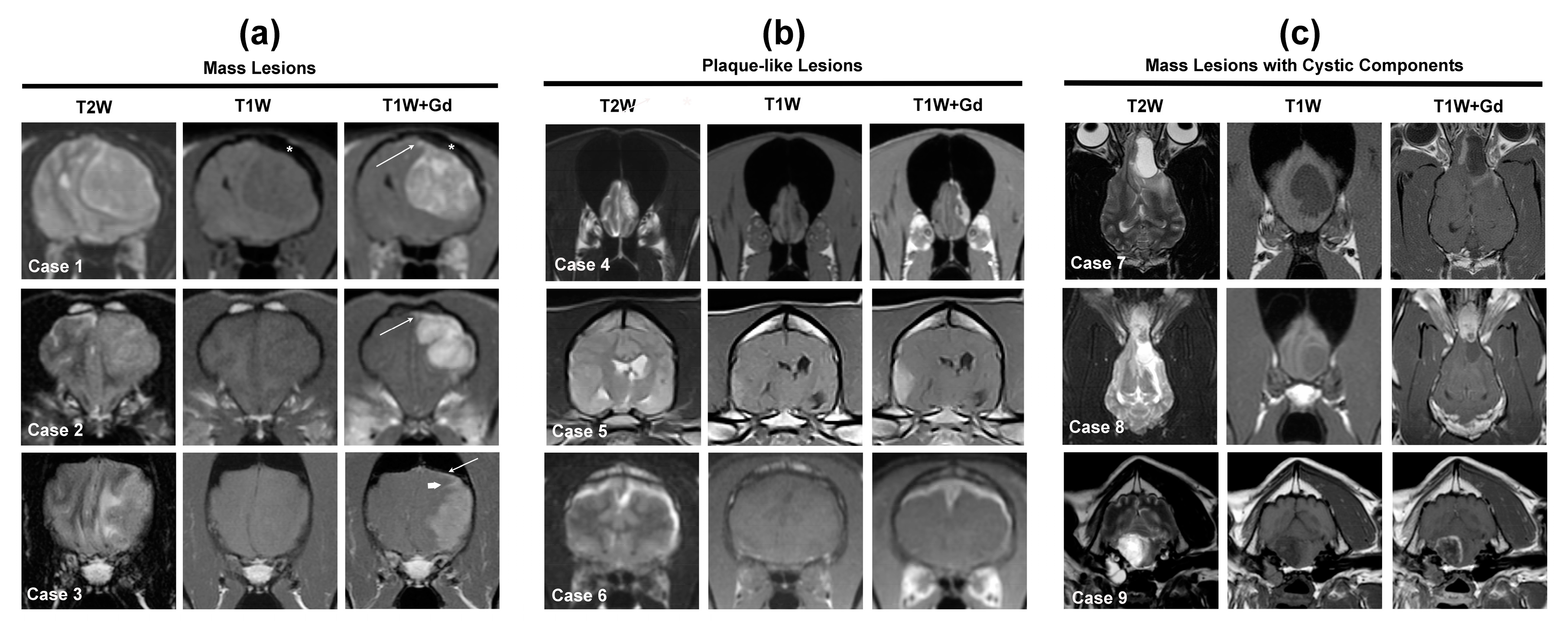 Animals 14 01044 g003