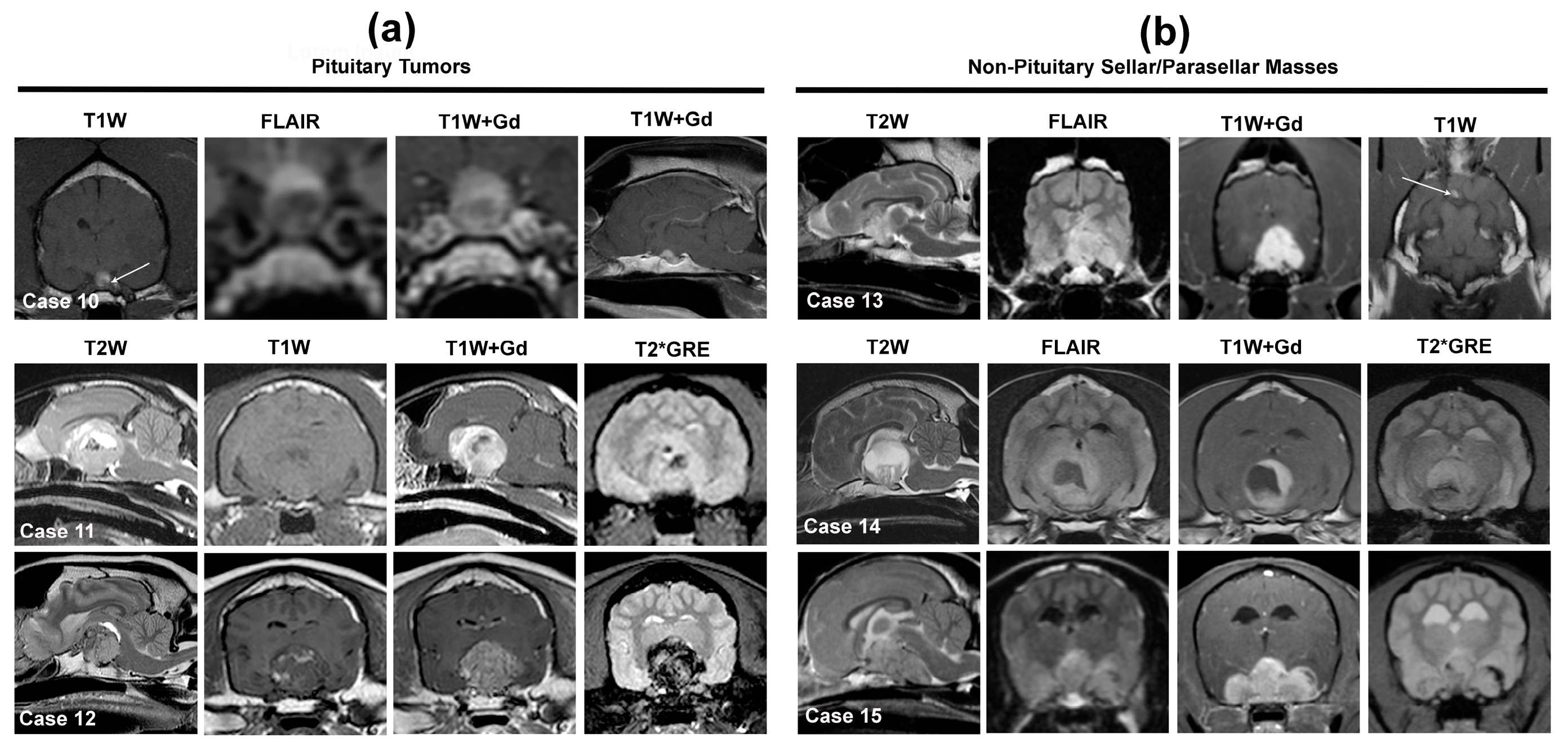 Animals 14 01044 g004