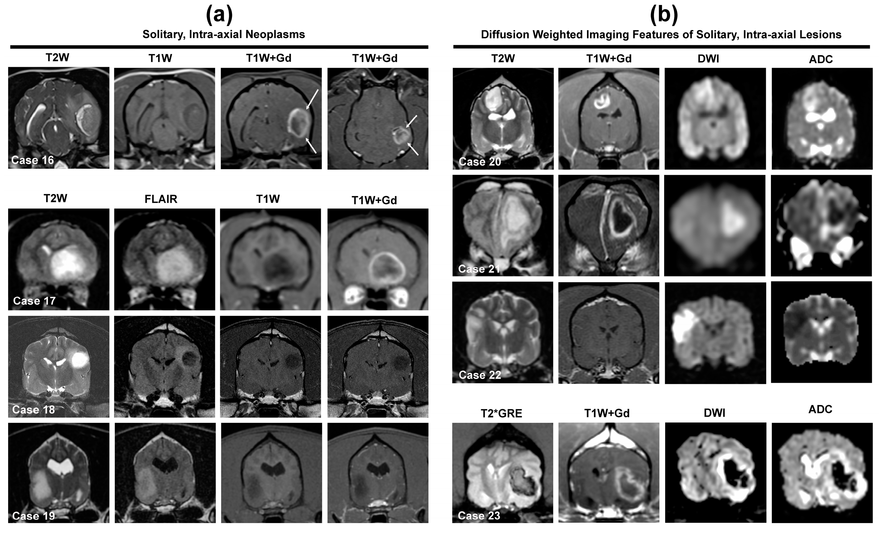 Animals 14 01044 g005