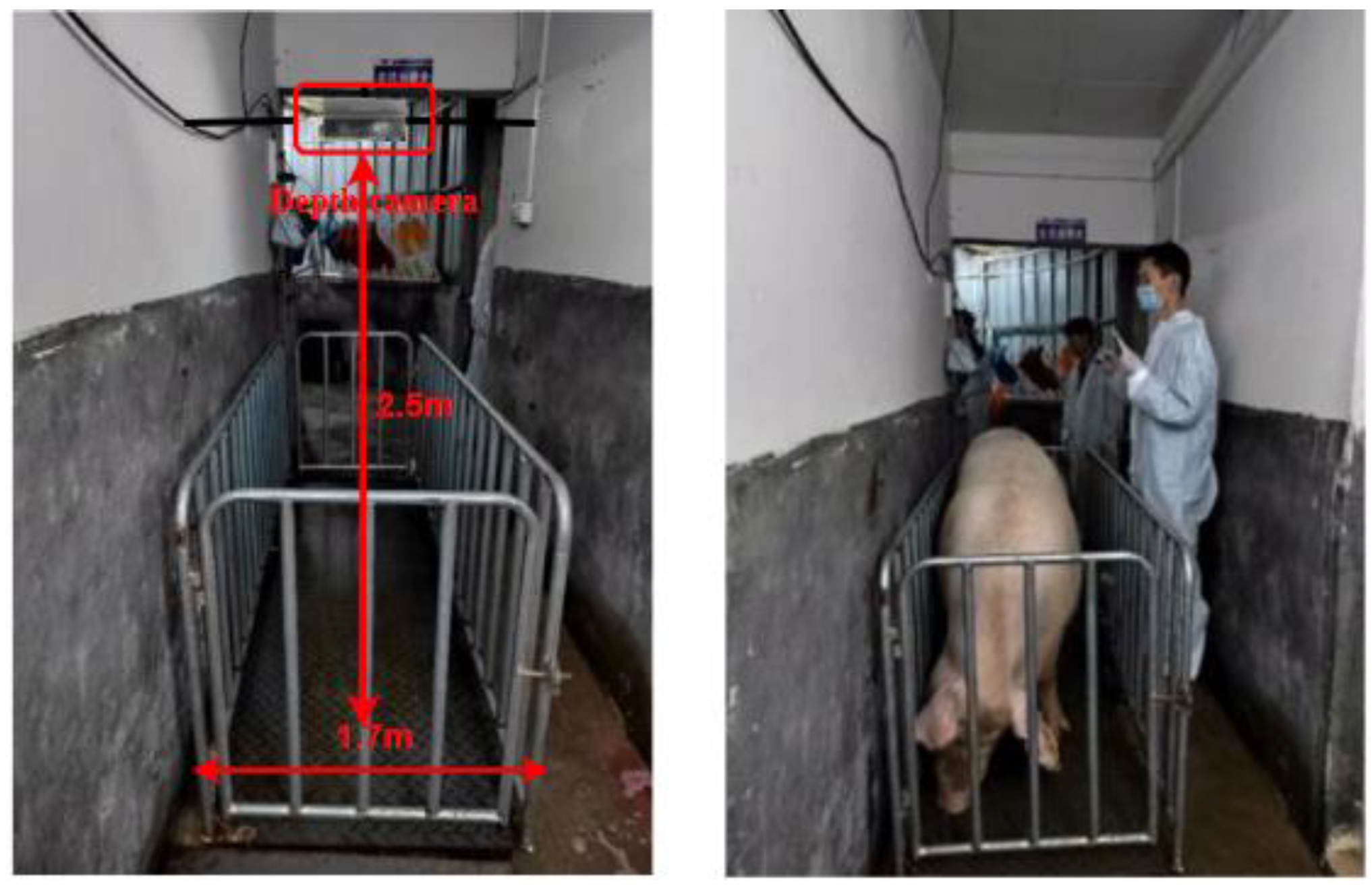 Animals 14 01046 g001