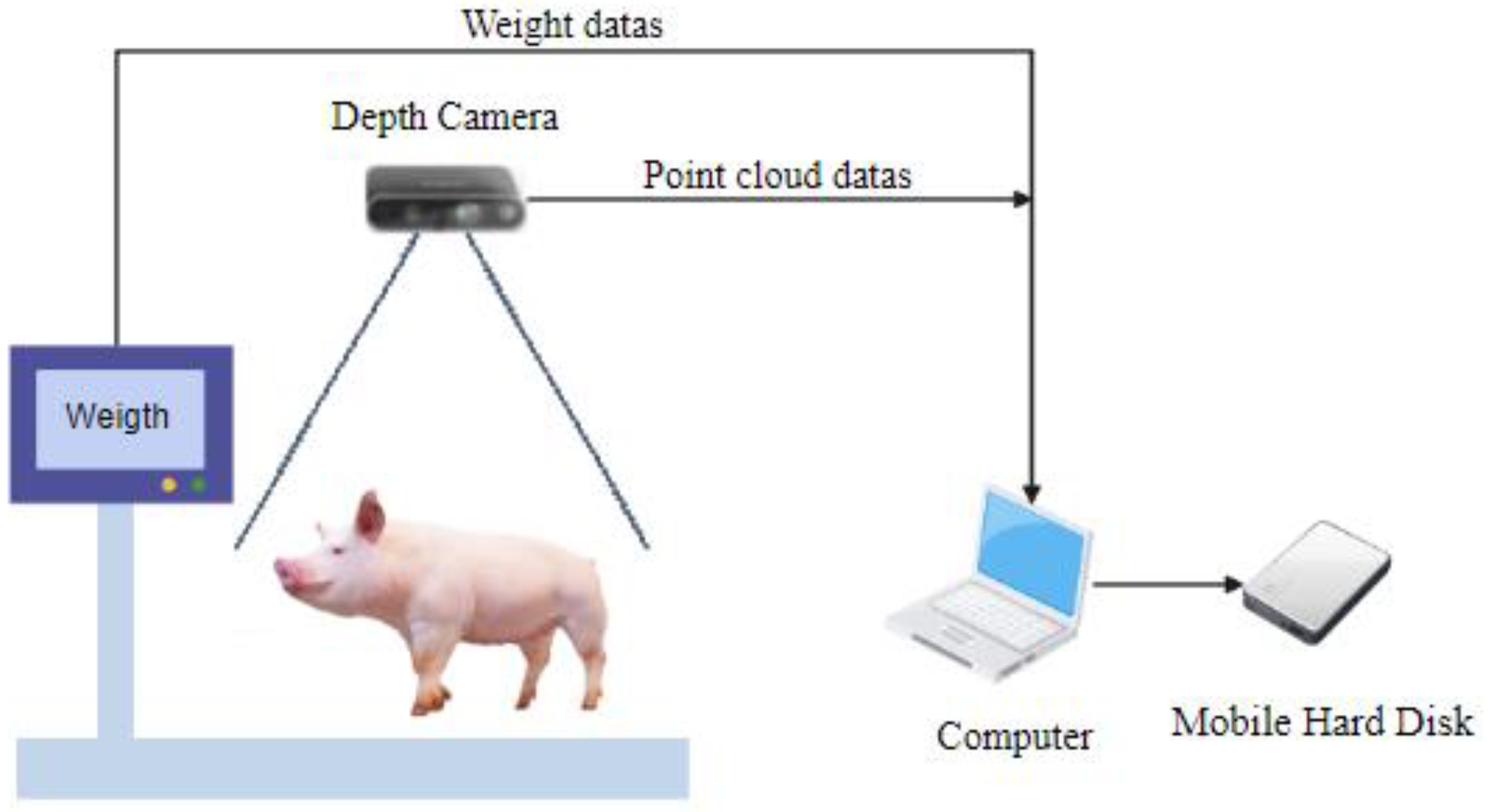 Animals 14 01046 g003