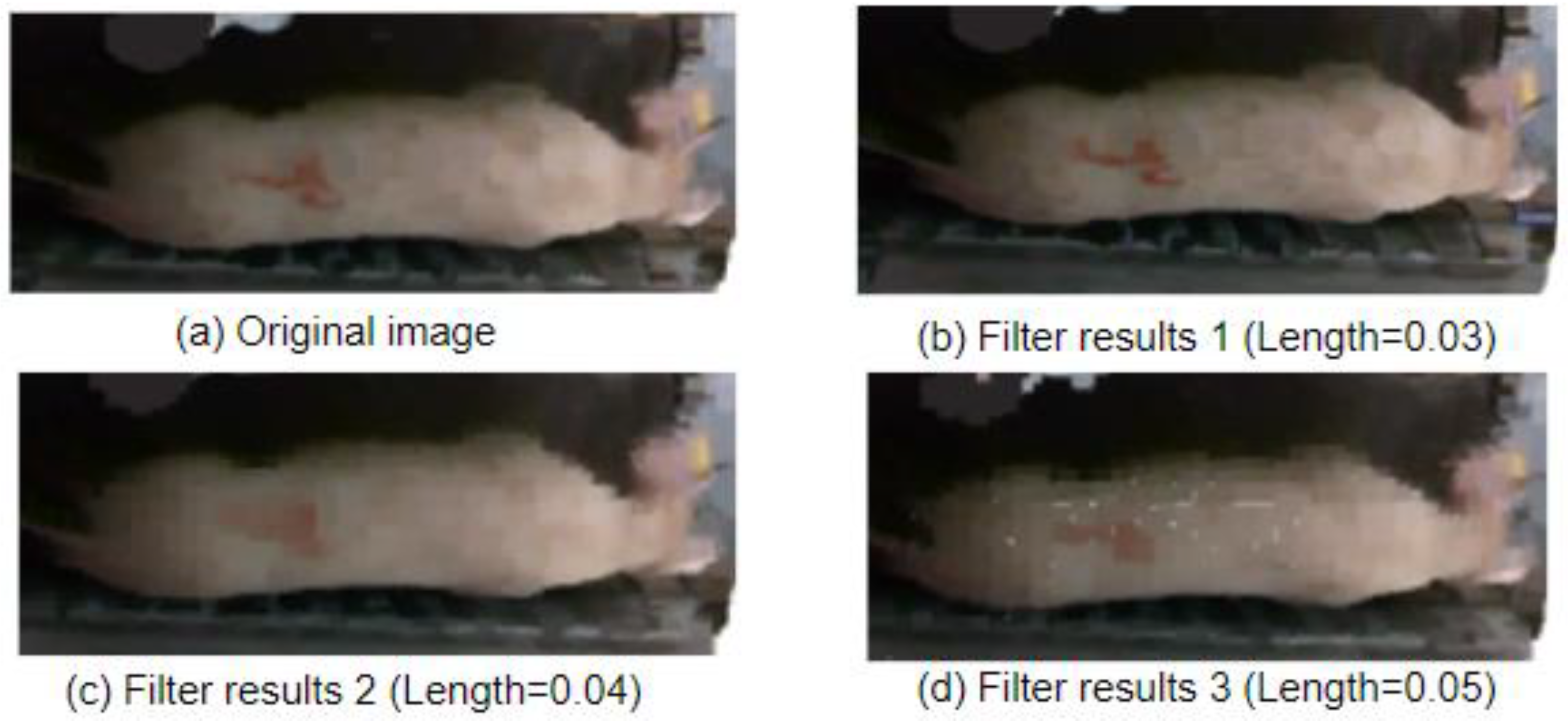 Animals 14 01046 g011